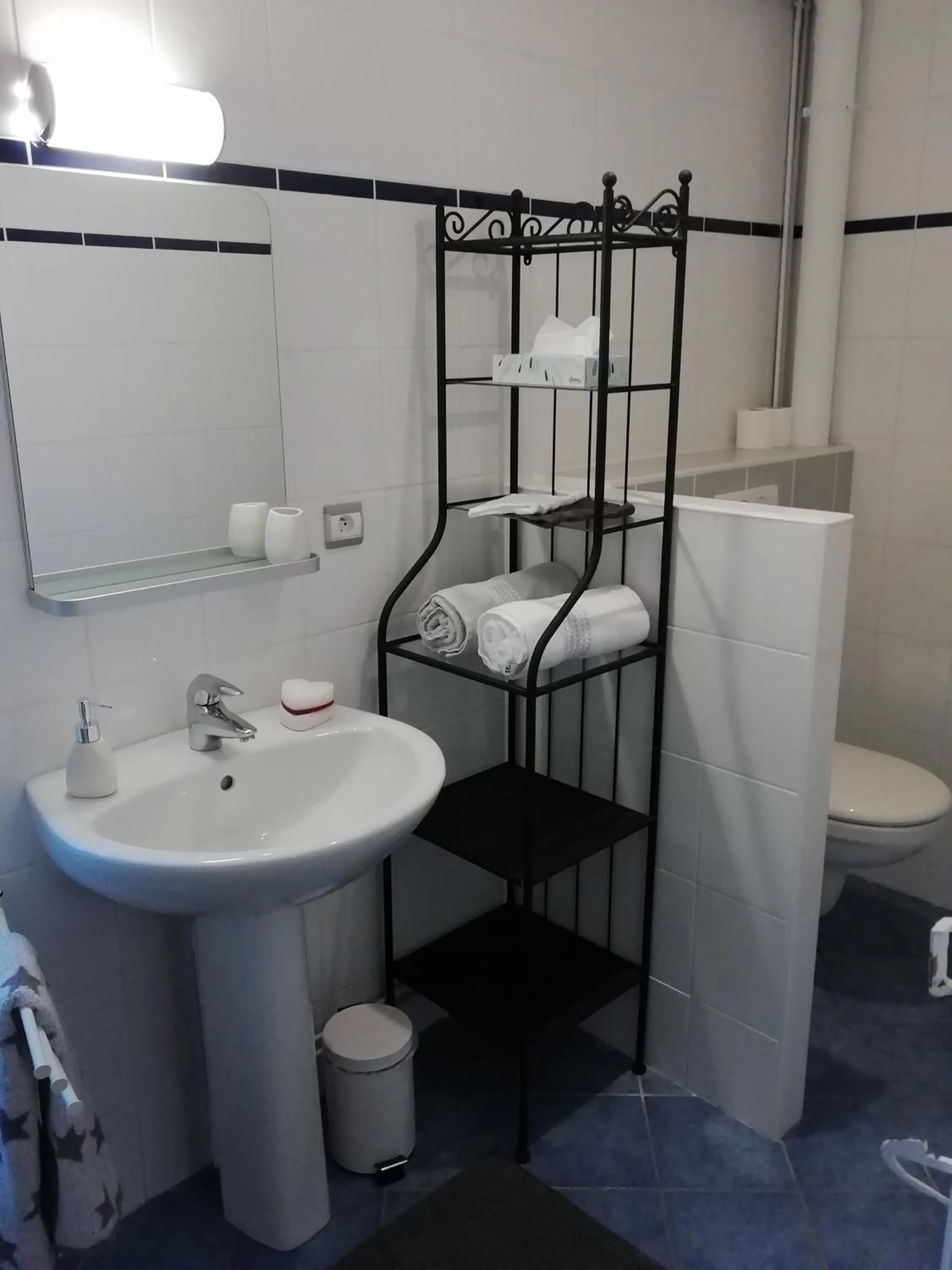 Toilet in Chambres d'hôtes La Tuilerie