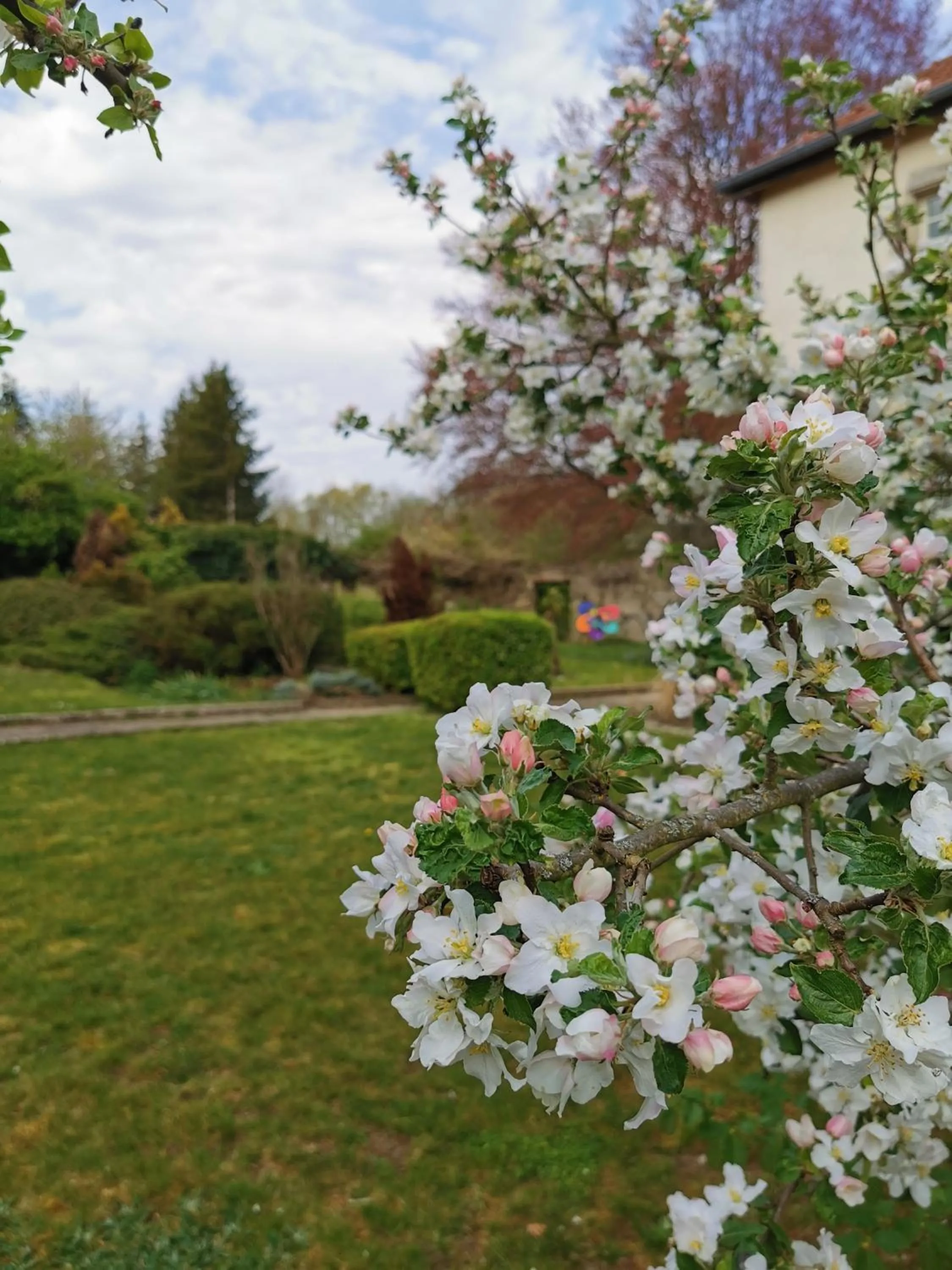 Natural landscape in Chambres d'hôtes La Tuilerie
