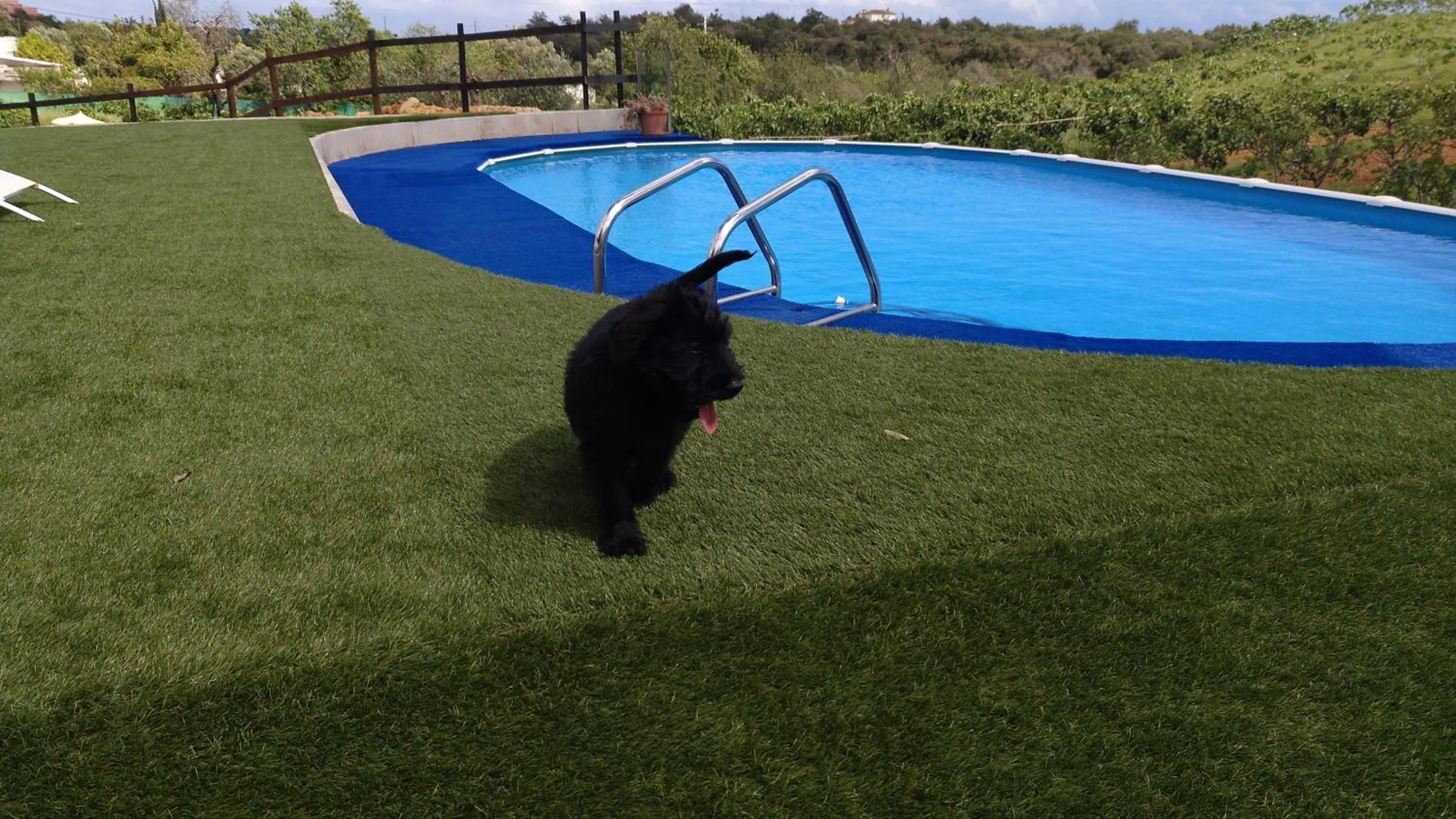 Animals in Monte das Perdizes