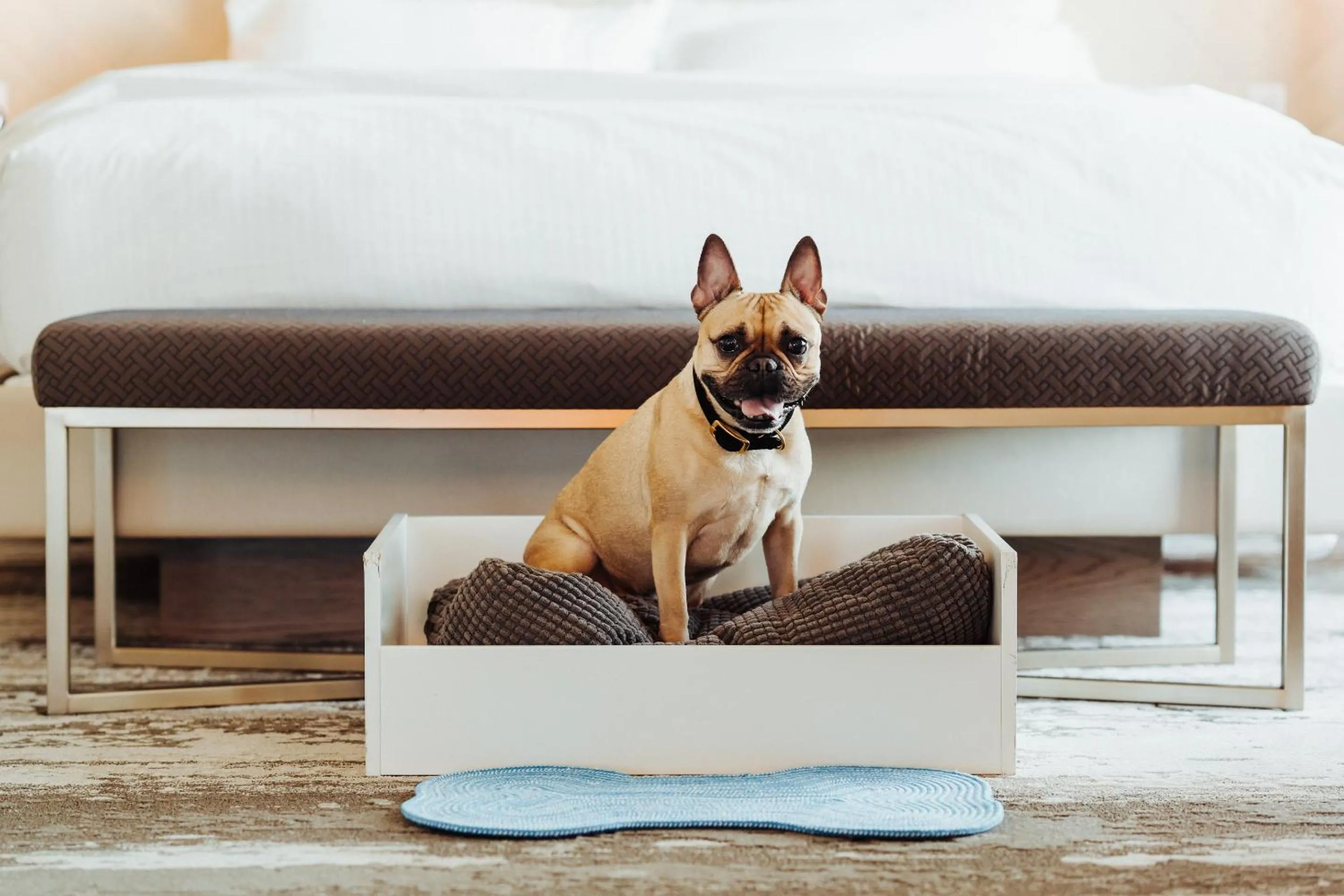 Fairmont Gold at Fairmont Vancouver Airport