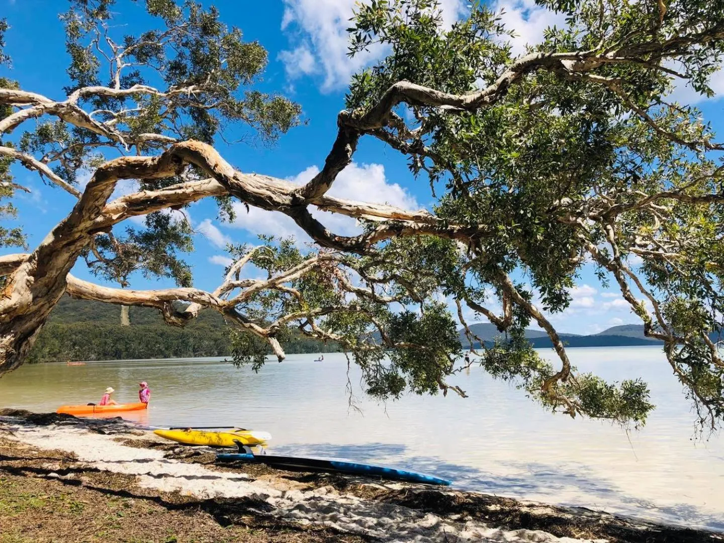 Natural landscape in Tiona Holiday Park