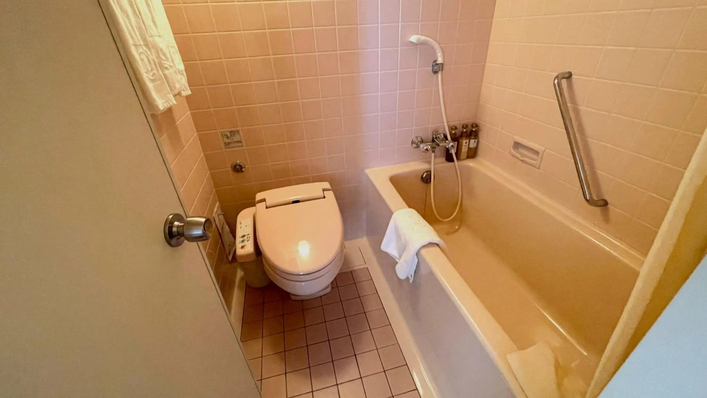 Toilet in Naeba Prince Hotel