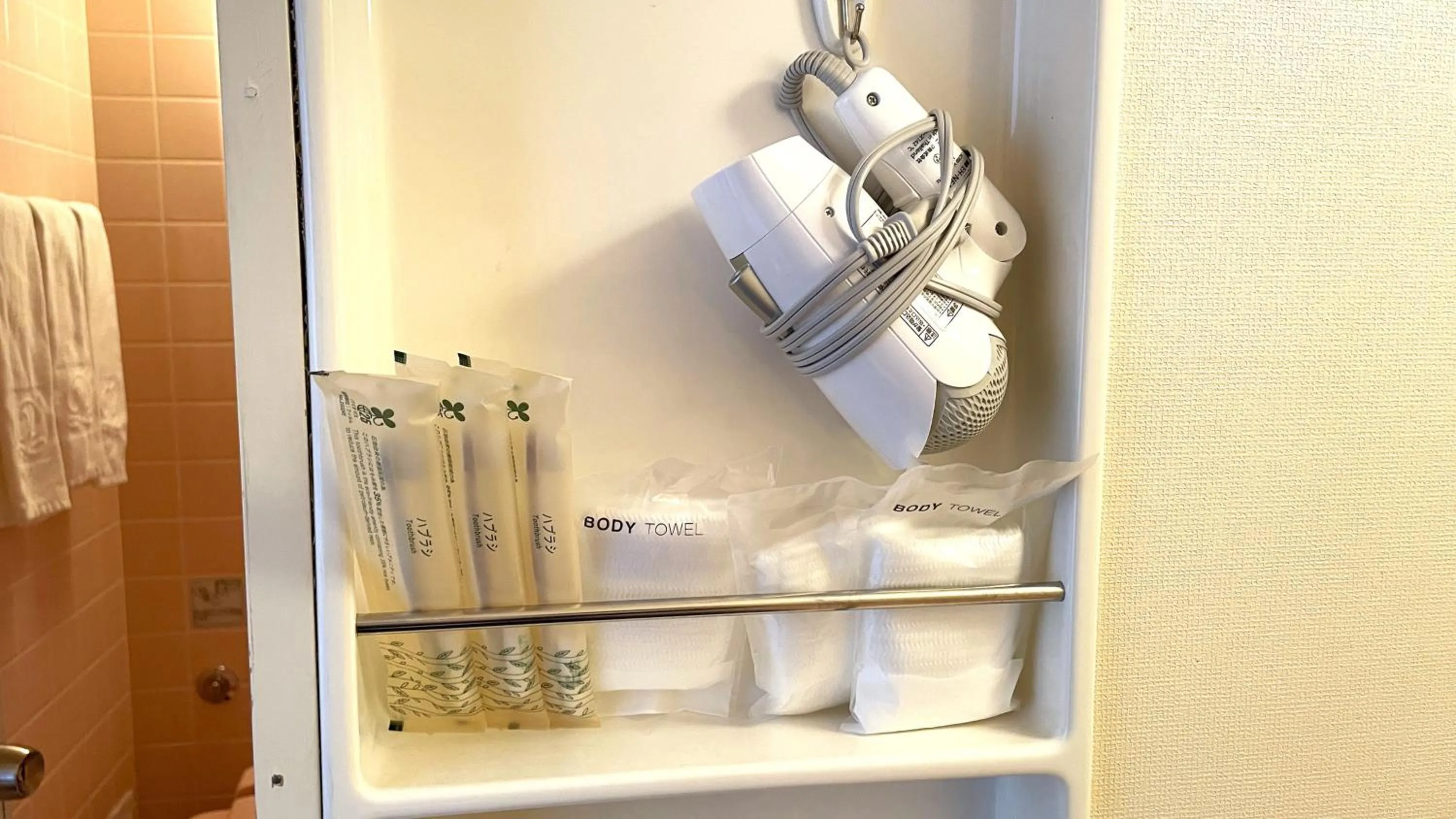 hair dryier in Naeba Prince Hotel