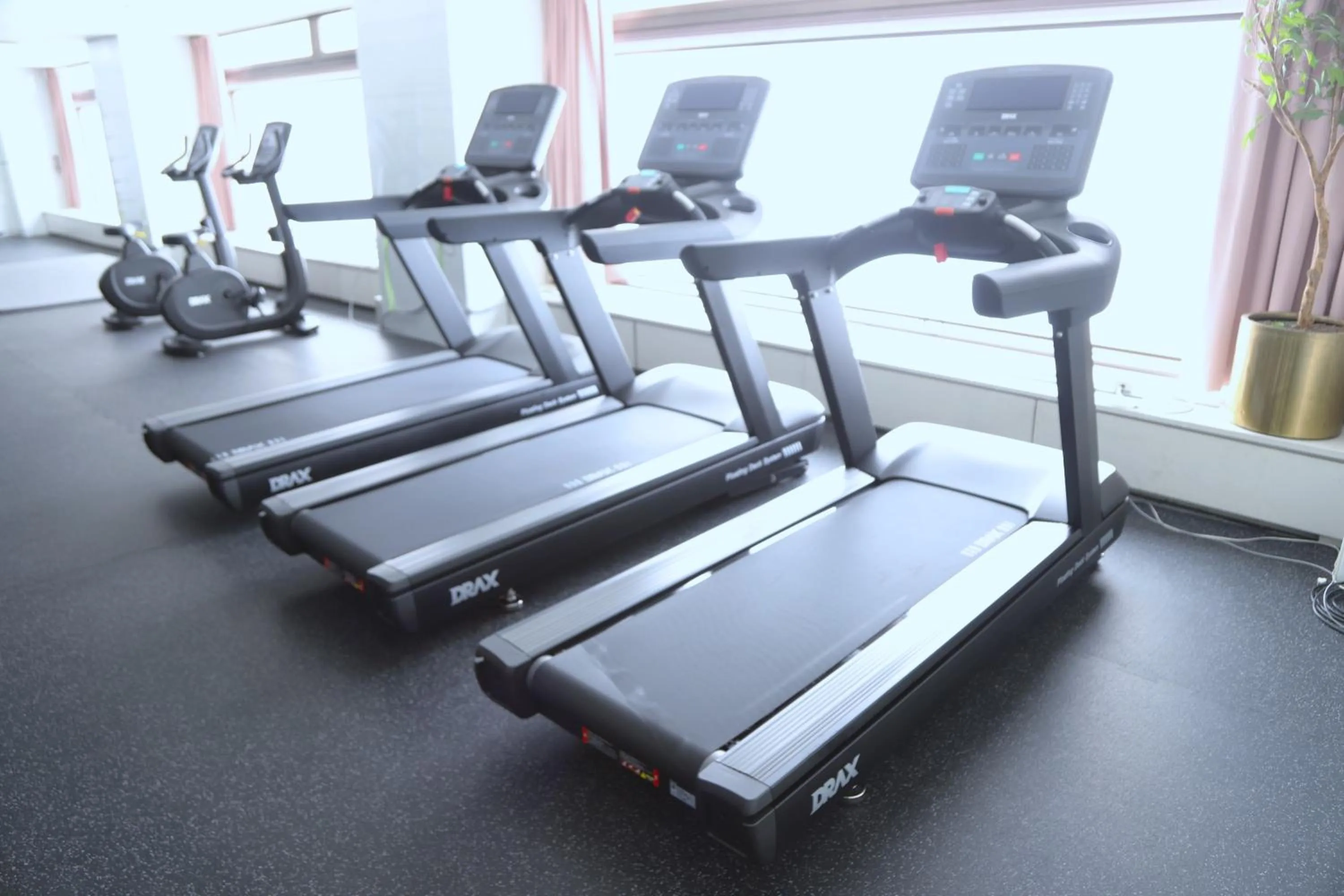 Fitness centre/facilities in Naeba Prince Hotel
