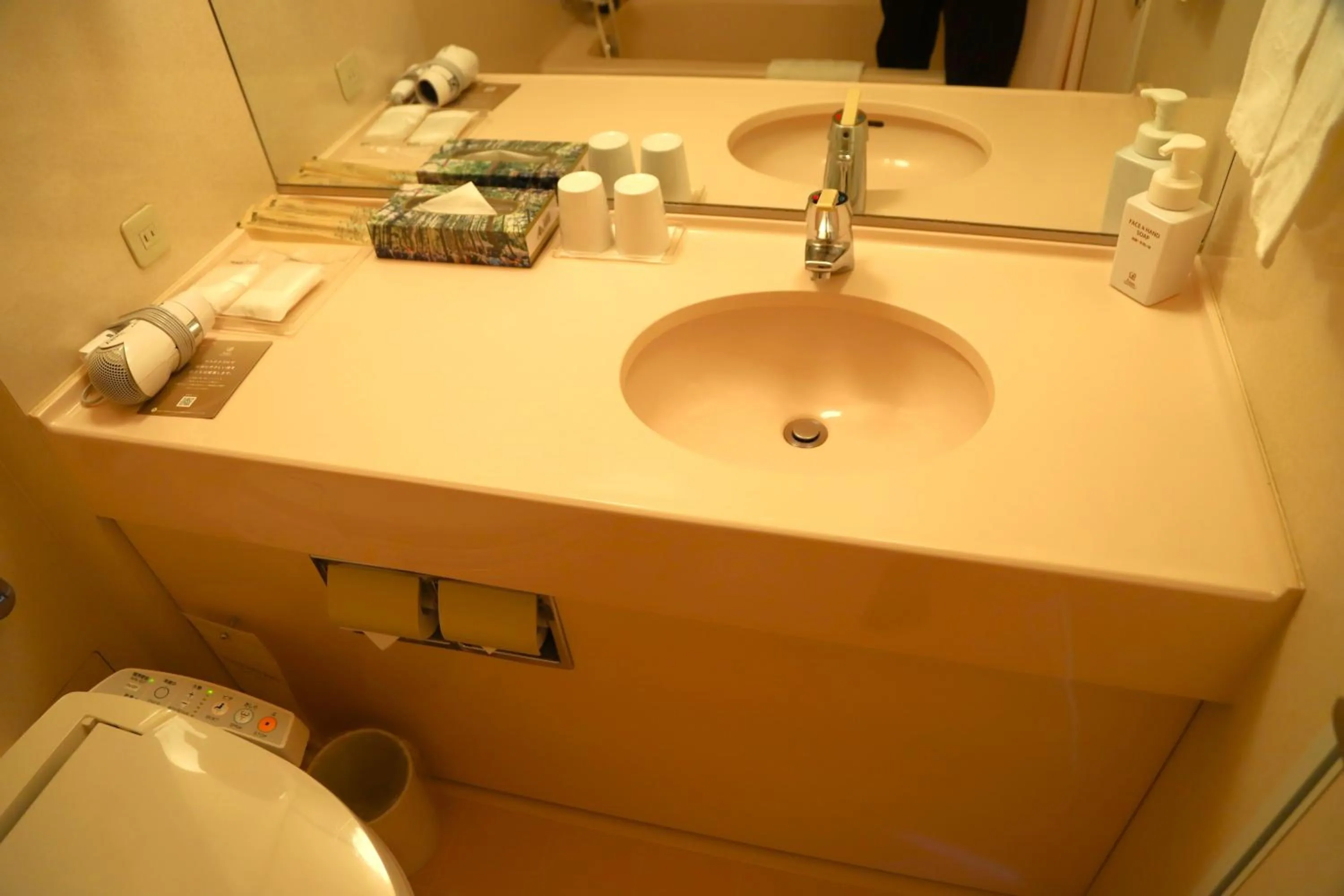 Toilet in Naeba Prince Hotel