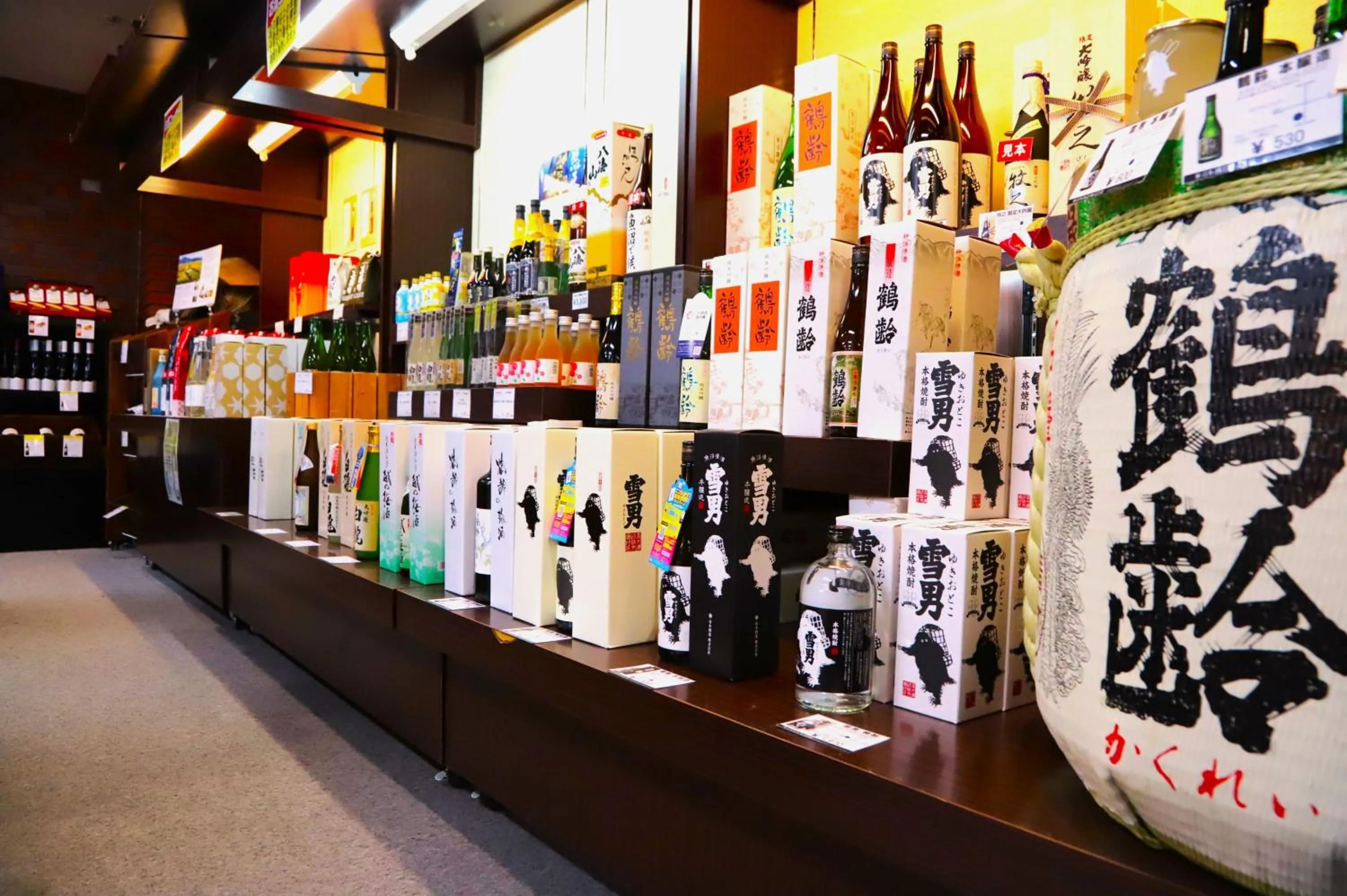 Area and facilities in Naeba Prince Hotel