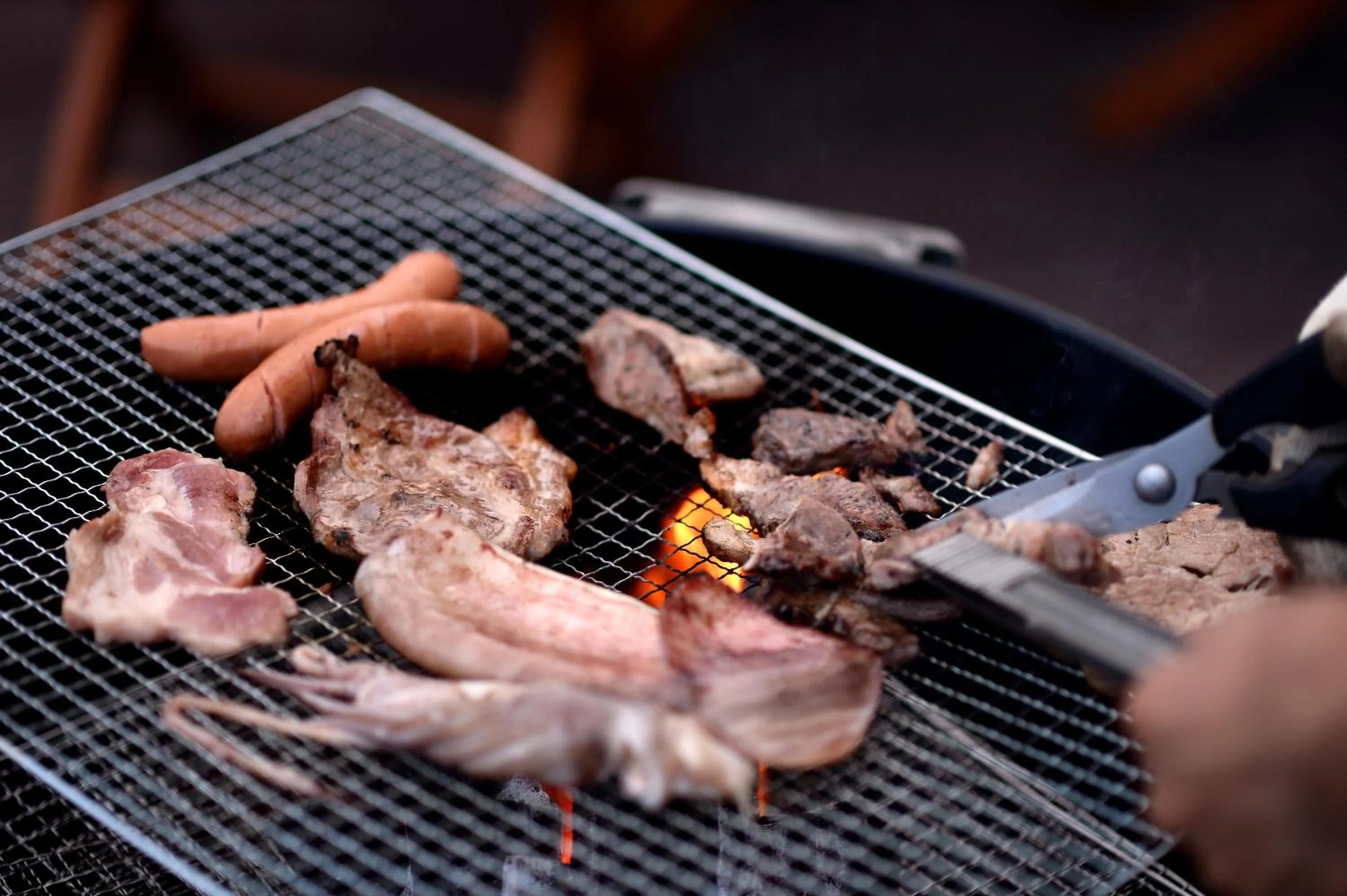 Food in Minitel Soul