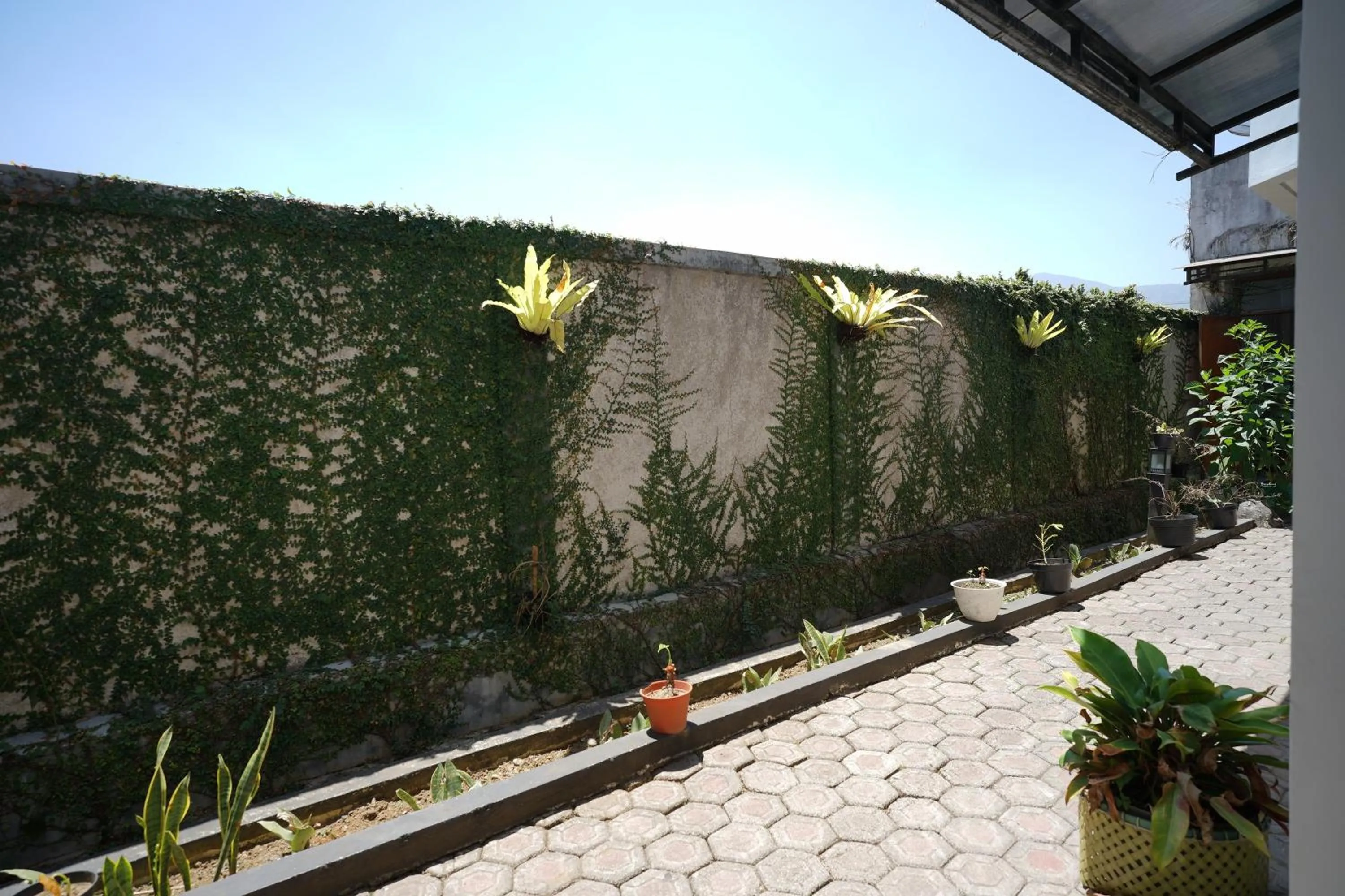 Balcony/Terrace in Hotel Puri Pangalengan
