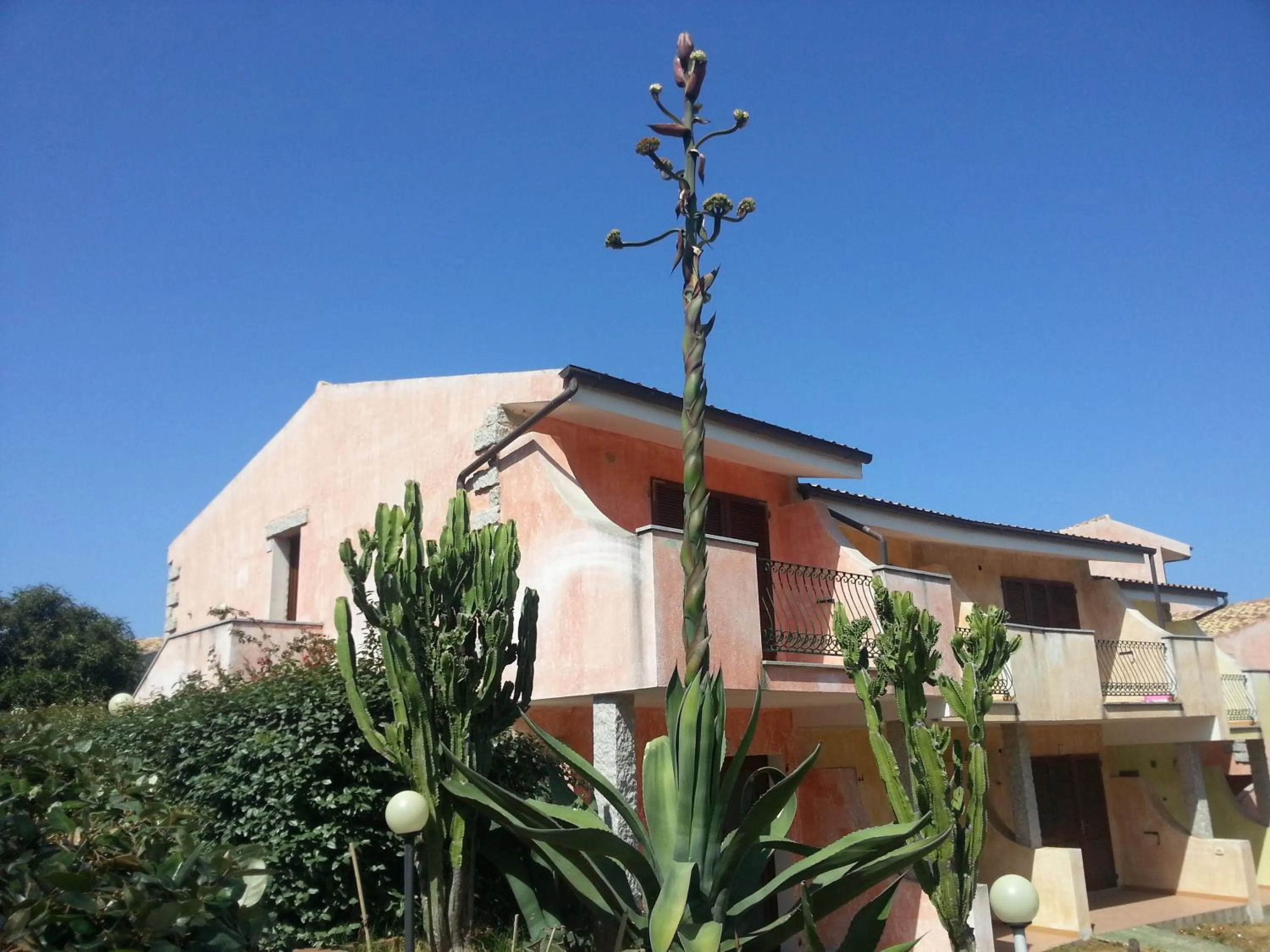 Garden view in Residence Costa Del Turchese