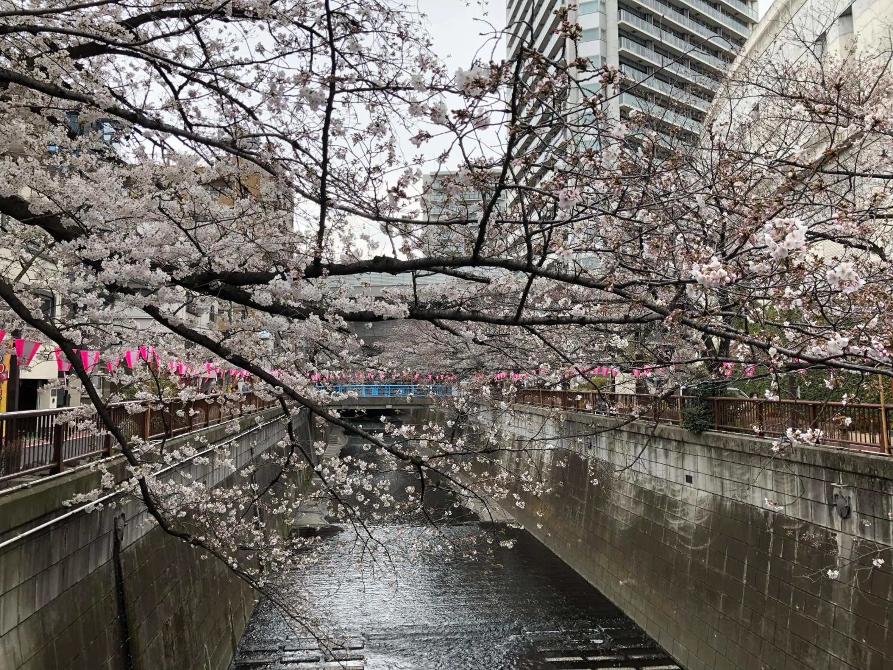 Off site in Wander Tokyo Shibuya