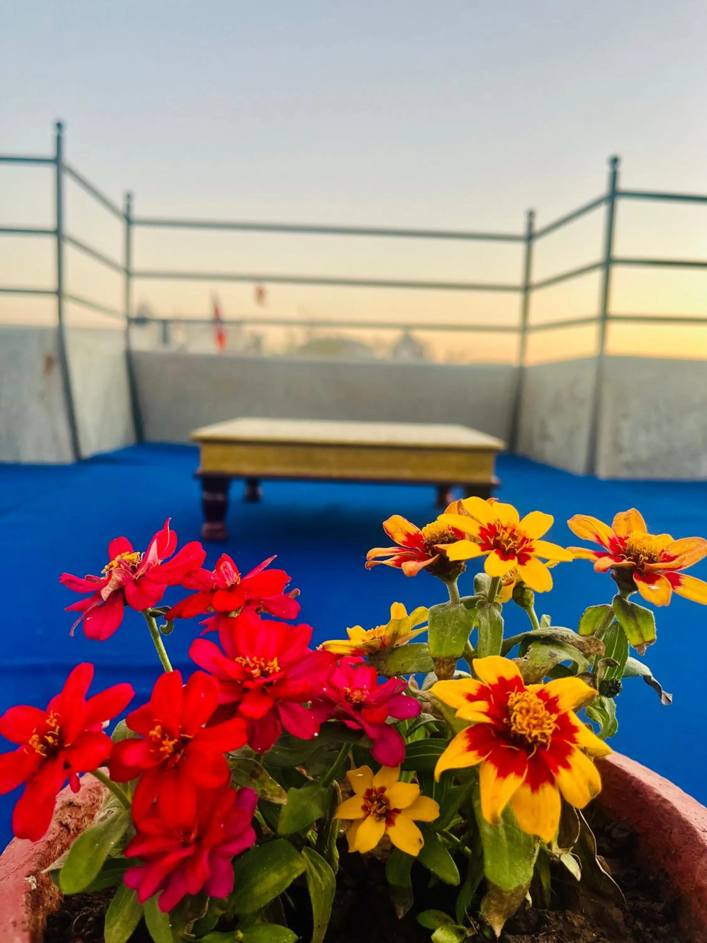 Restaurant/places to eat in Madri Haveli