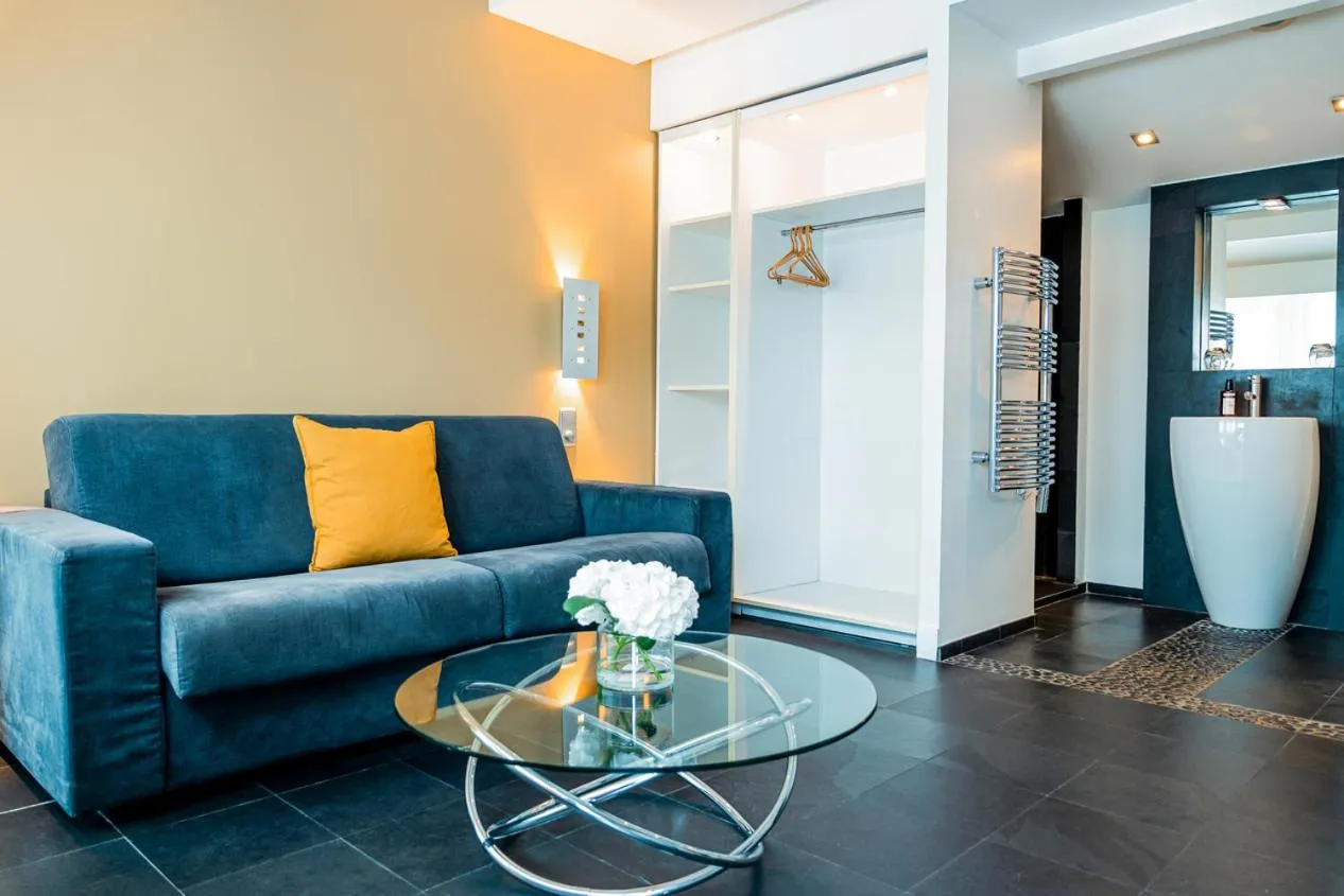 Living room in 1K Paris