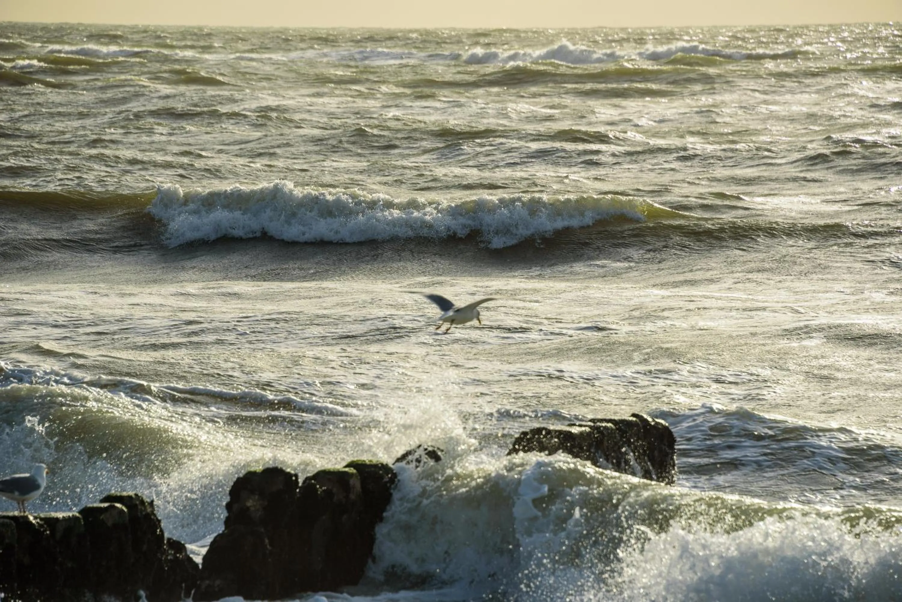 Beach in Pension Luuward 3 Sterne superior Hotel