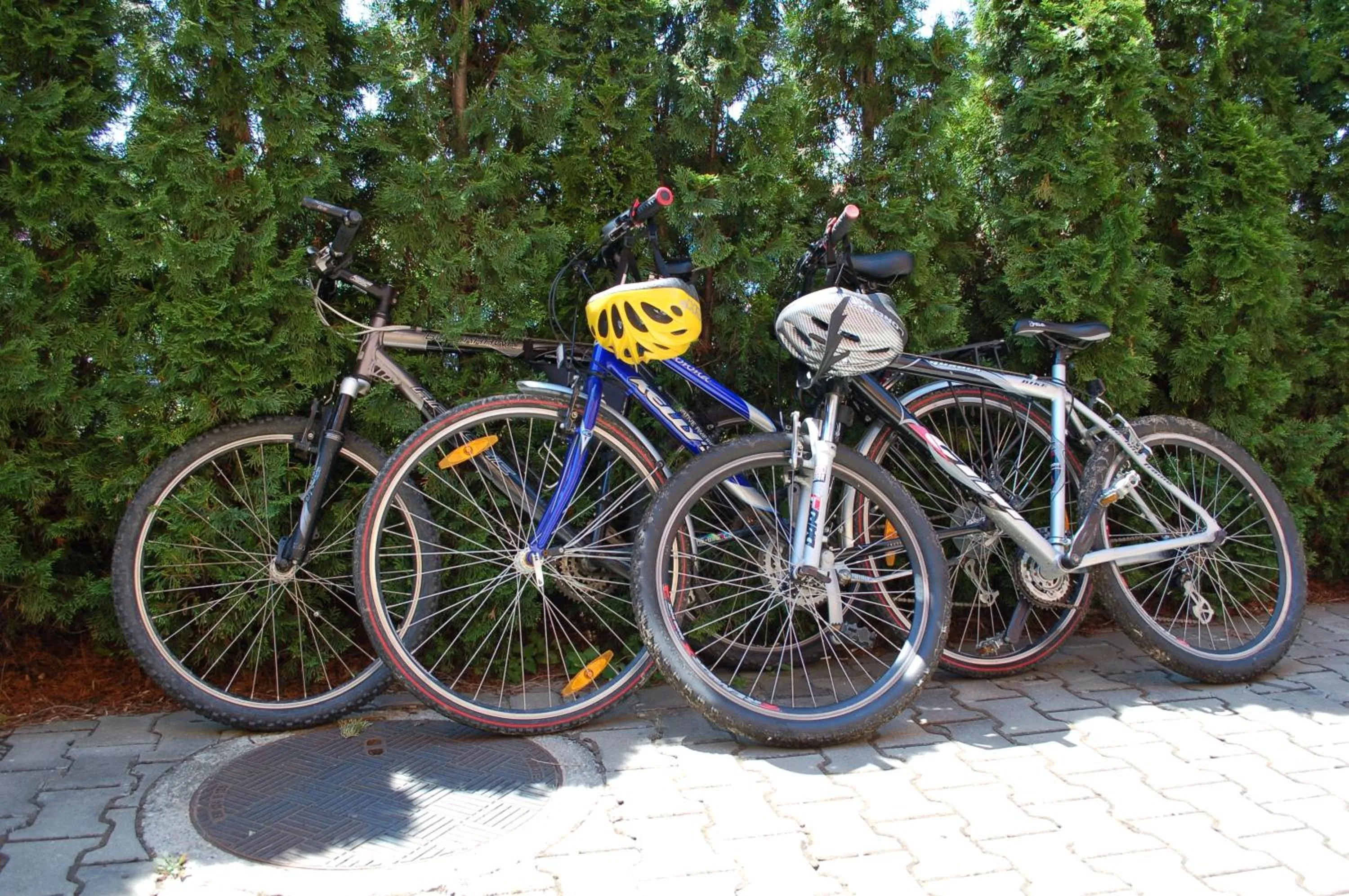 Cycling in Hotel Max Inn