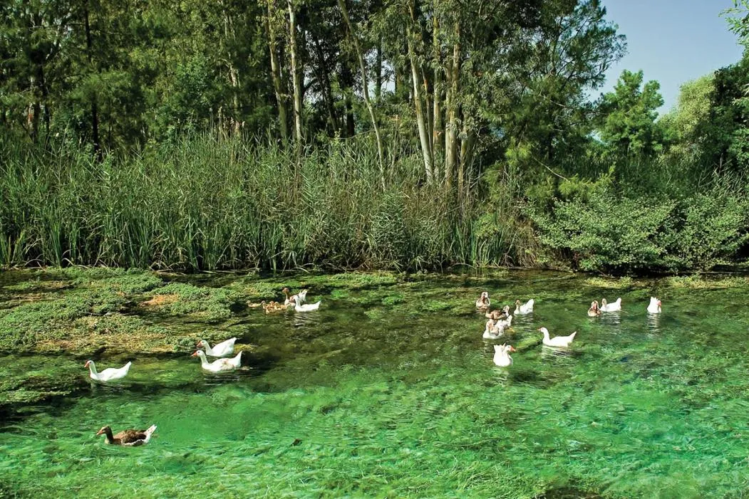 Area and facilities in Yucelen Hotel