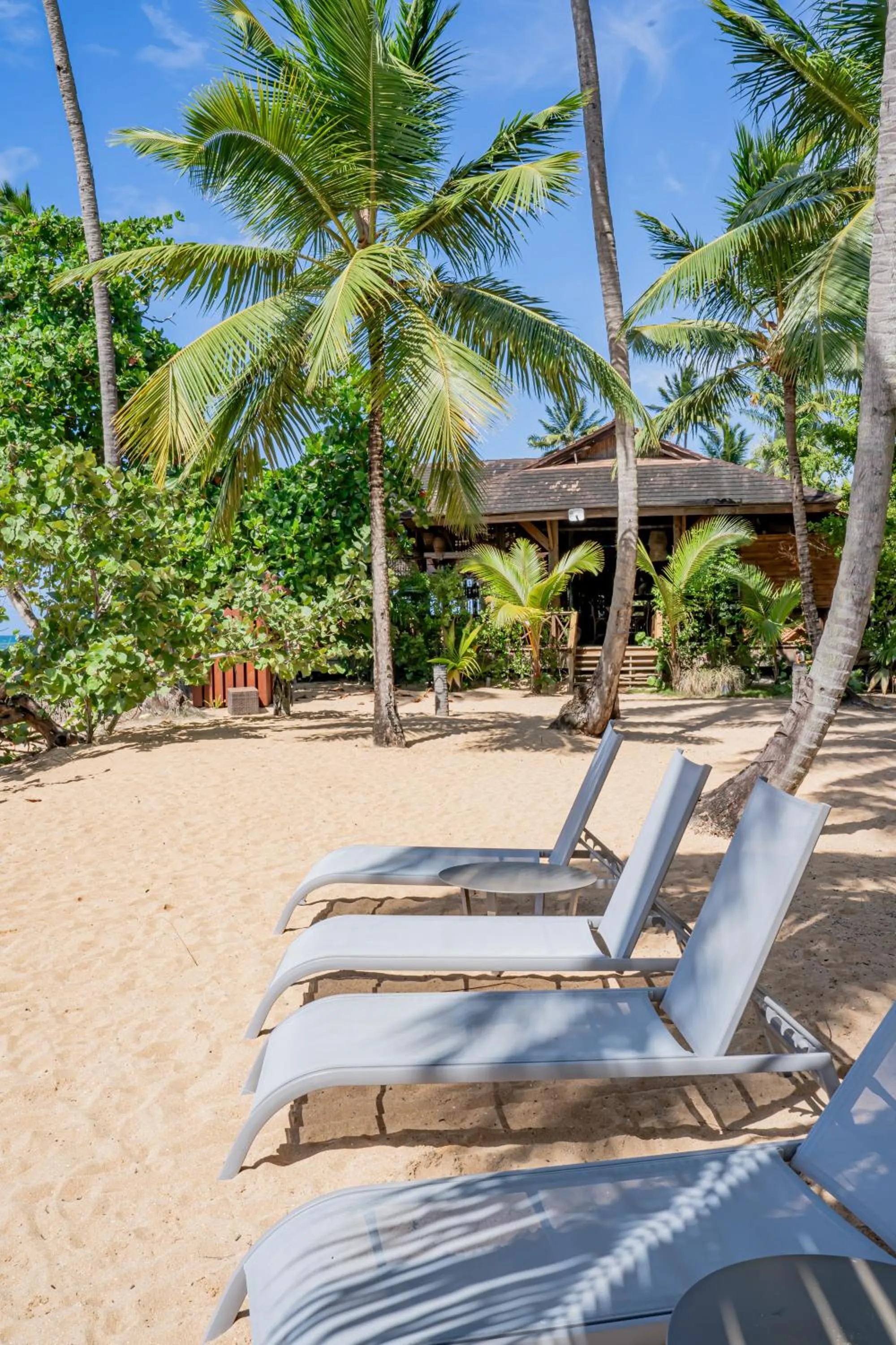 Beach in Xeliter Balcones del Atlantico - Las Terrenas
