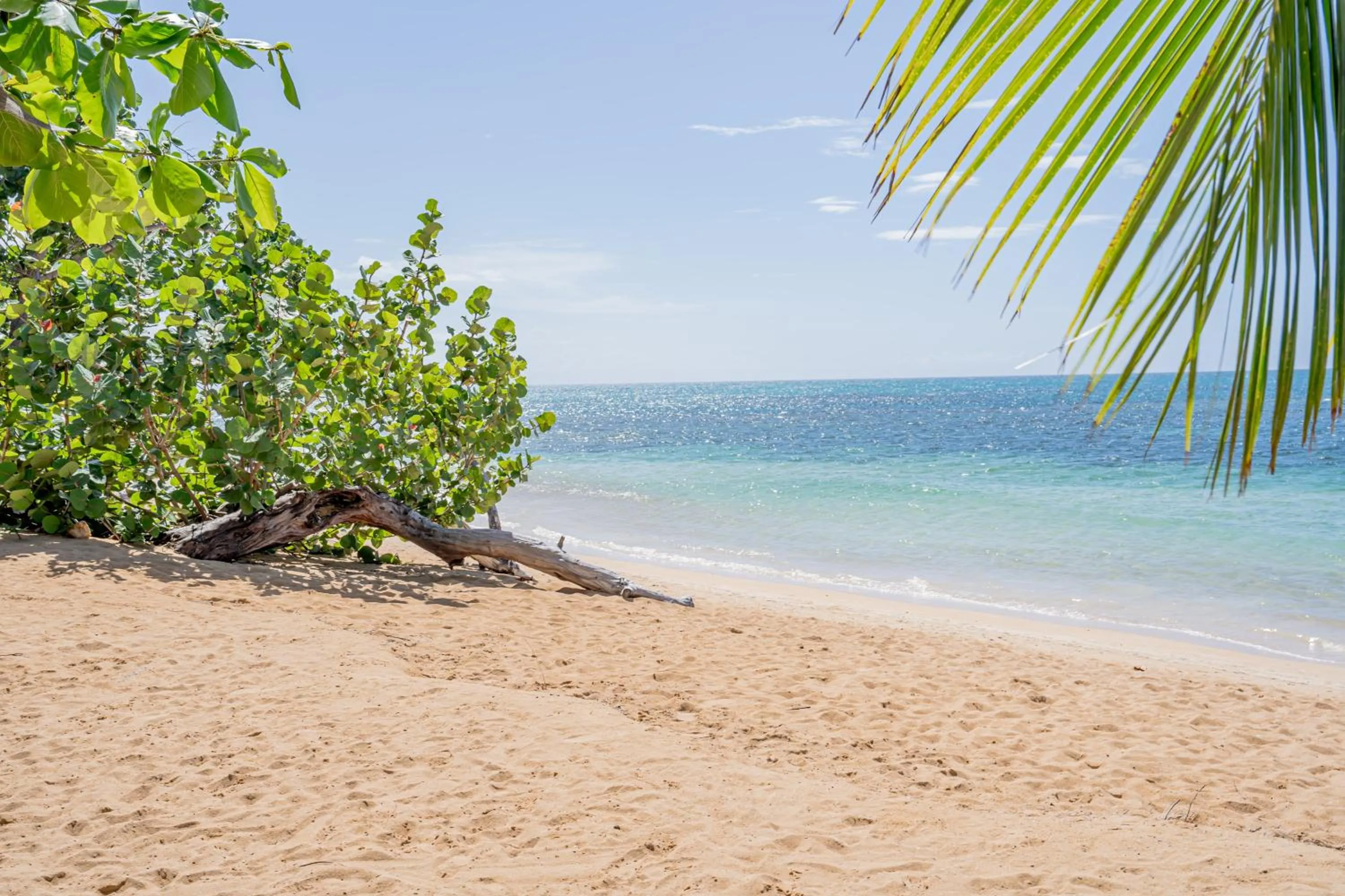 Beach in Xeliter Balcones del Atlantico - Las Terrenas