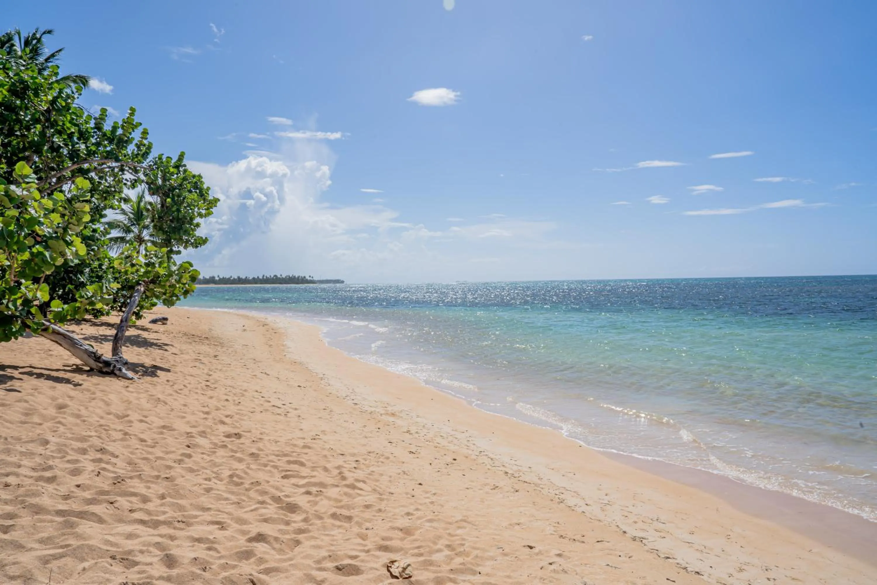 Beach in Xeliter Balcones del Atlantico - Las Terrenas