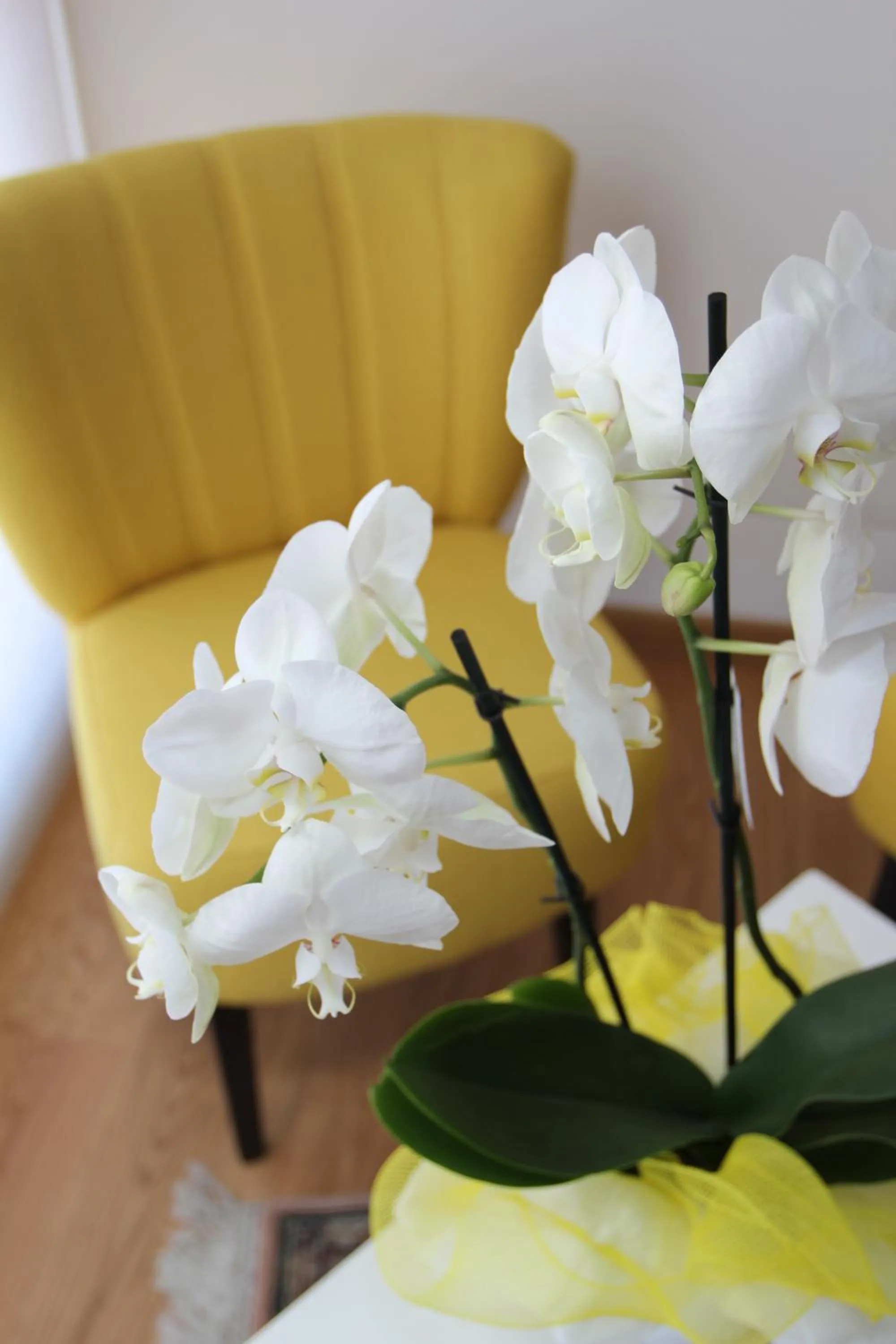 Decorative detail in Al Sa di Te