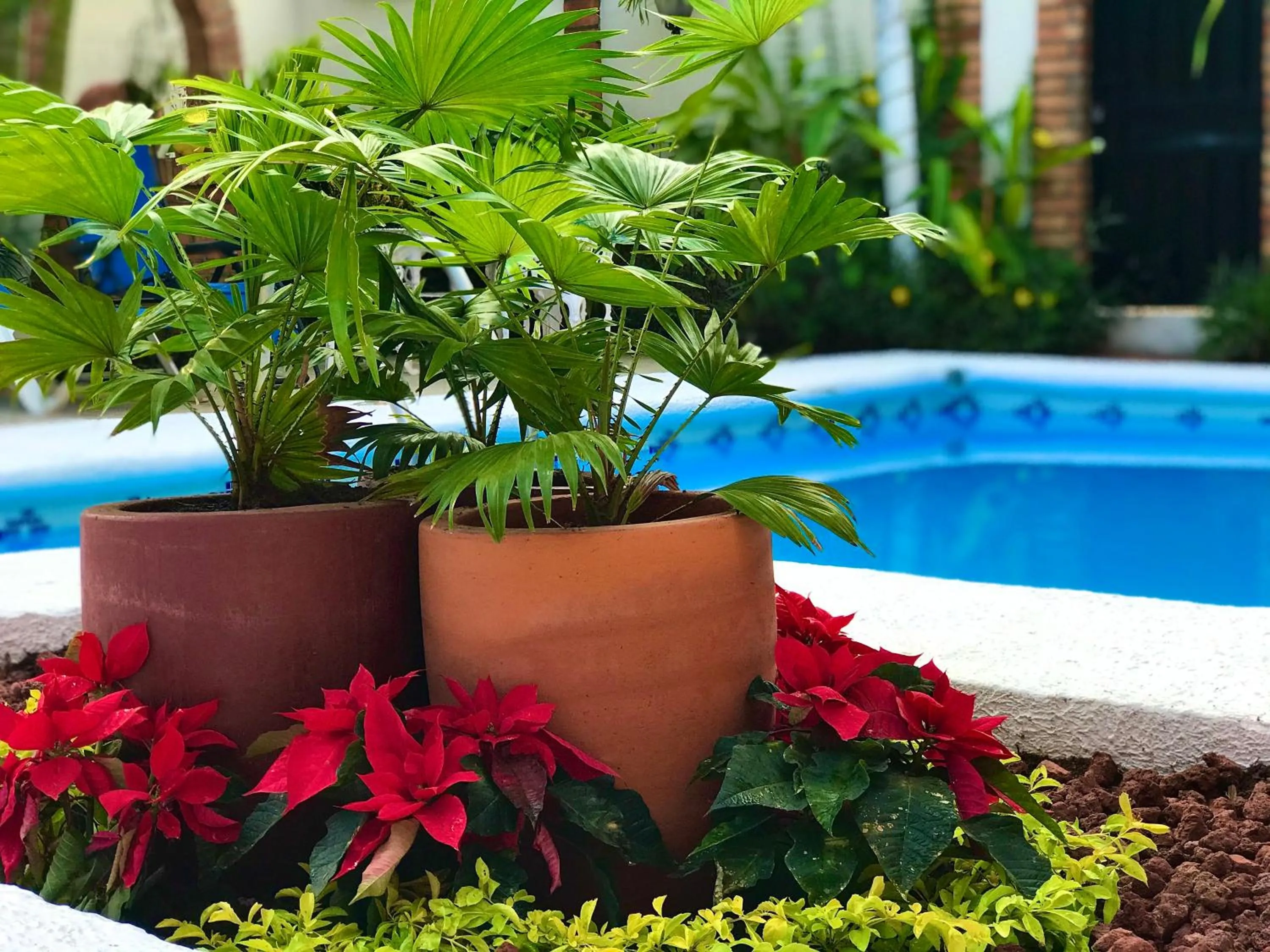 Swimming pool in Bungalows Maria Teresa