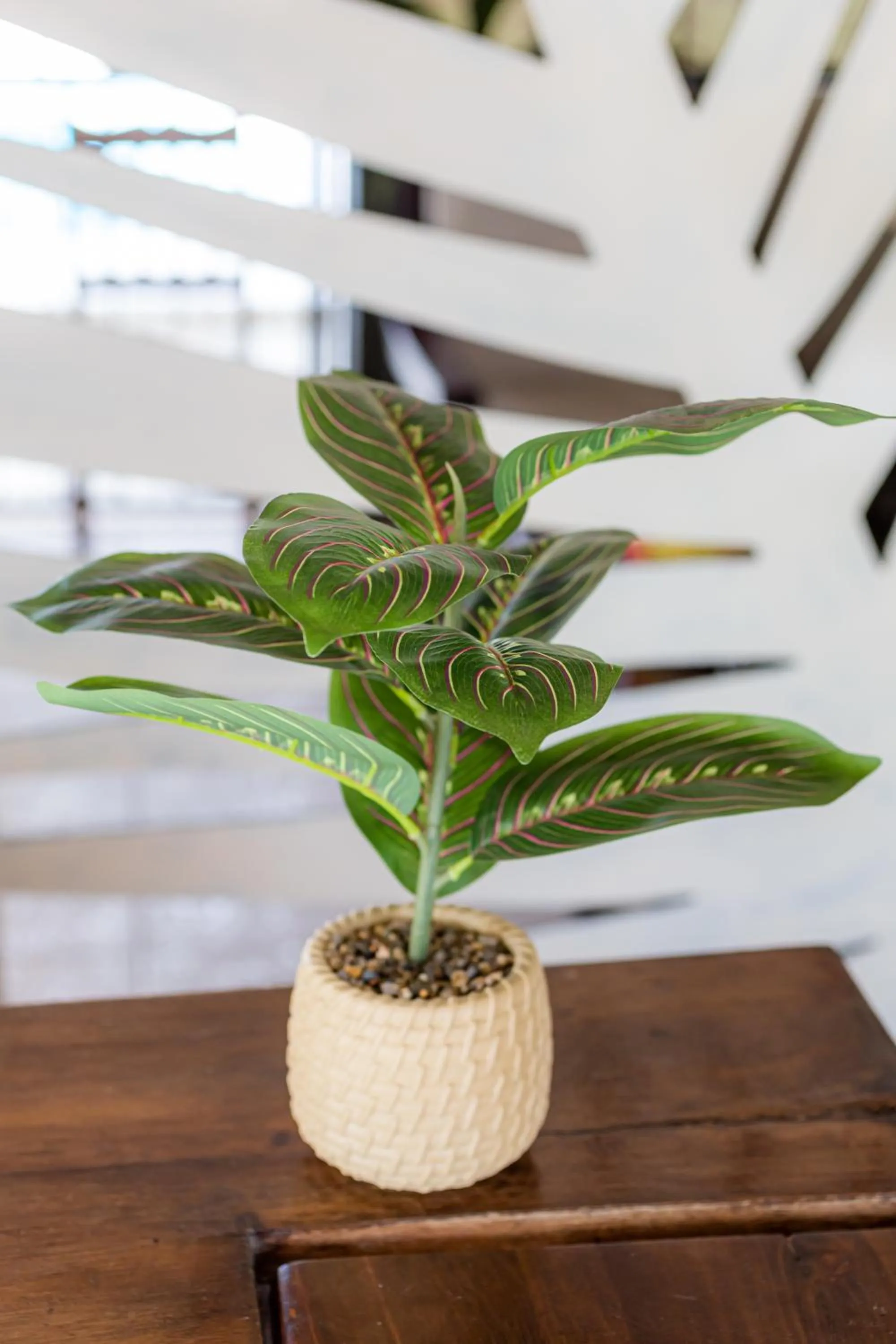 Bungalows Maria Teresa