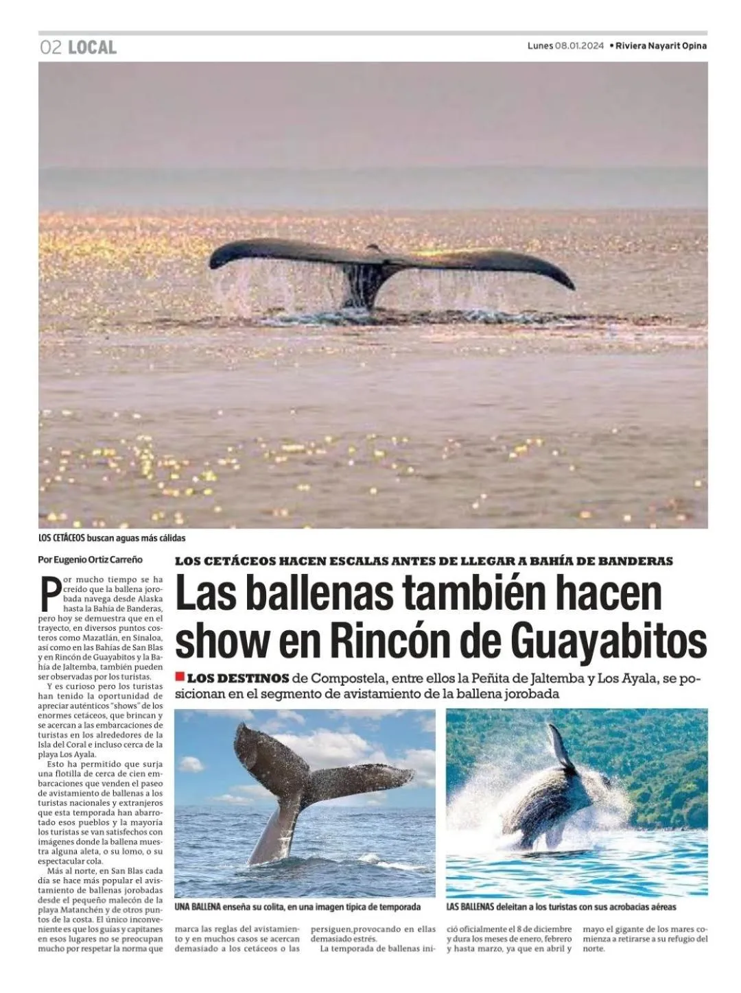 Bungalows Maria Teresa