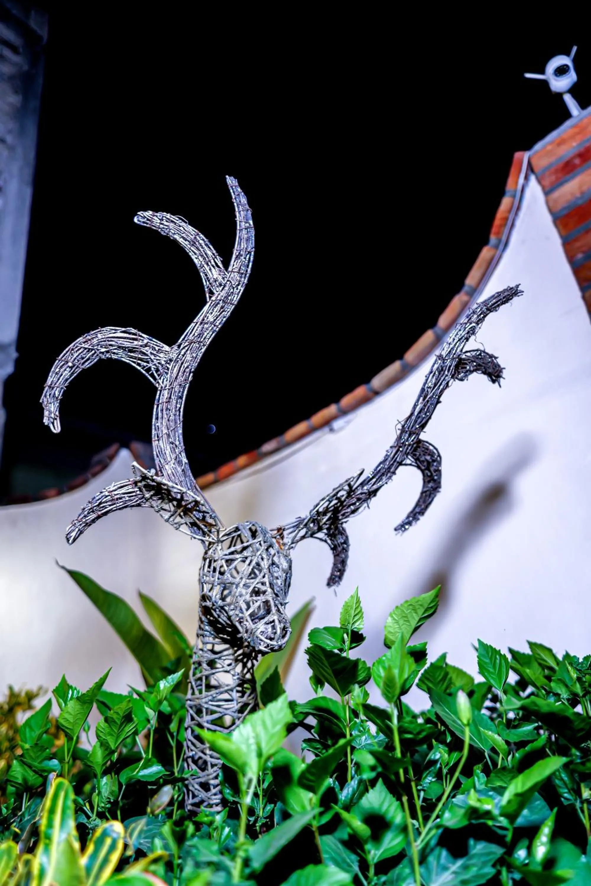 Bungalows Maria Teresa