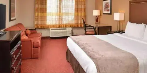 Corner Suite in The Hotel Vue Corner Suite in The Hotel Vue