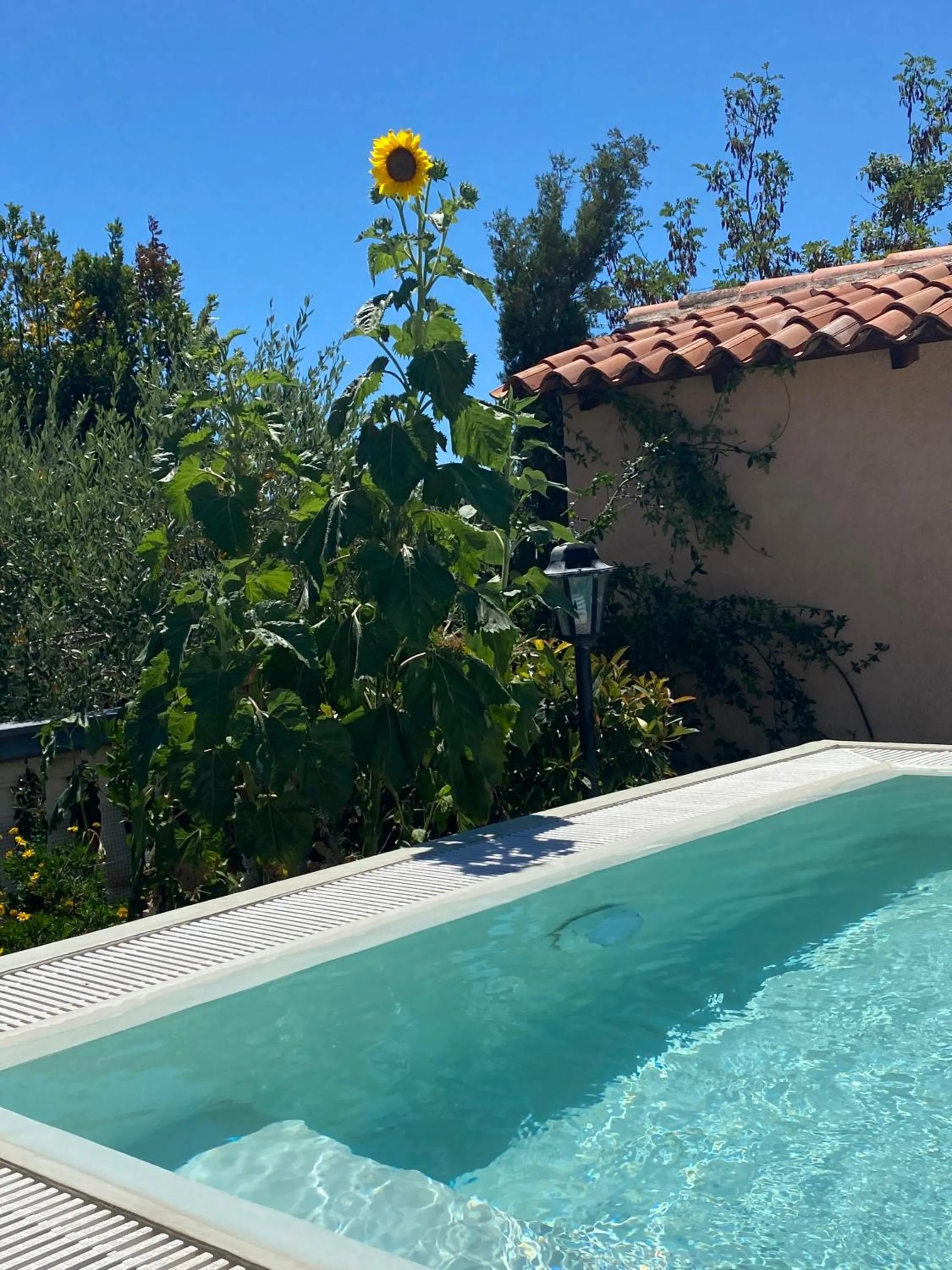 Swimming pool in Hotel Aurora