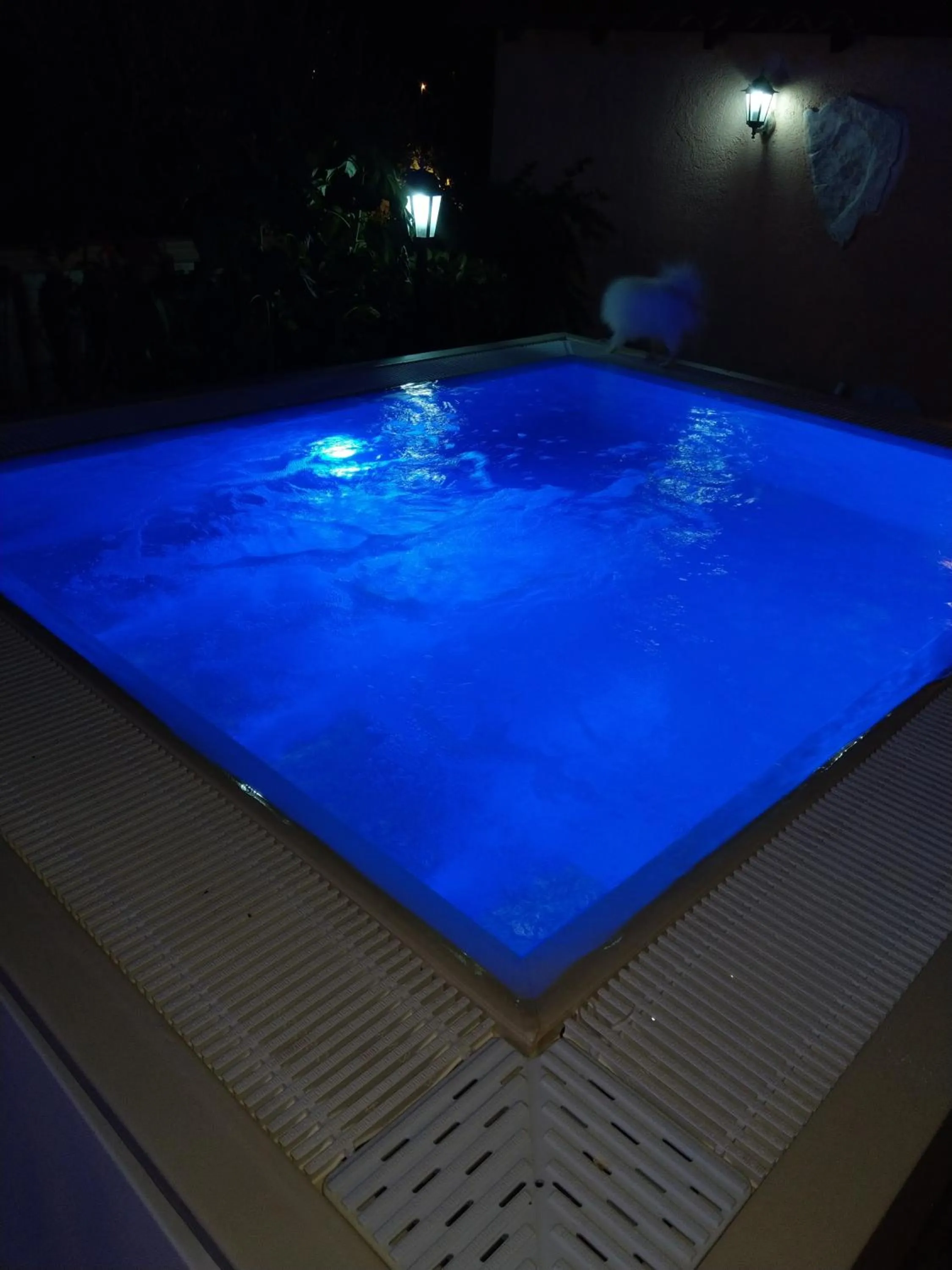 Swimming pool in Hotel Aurora