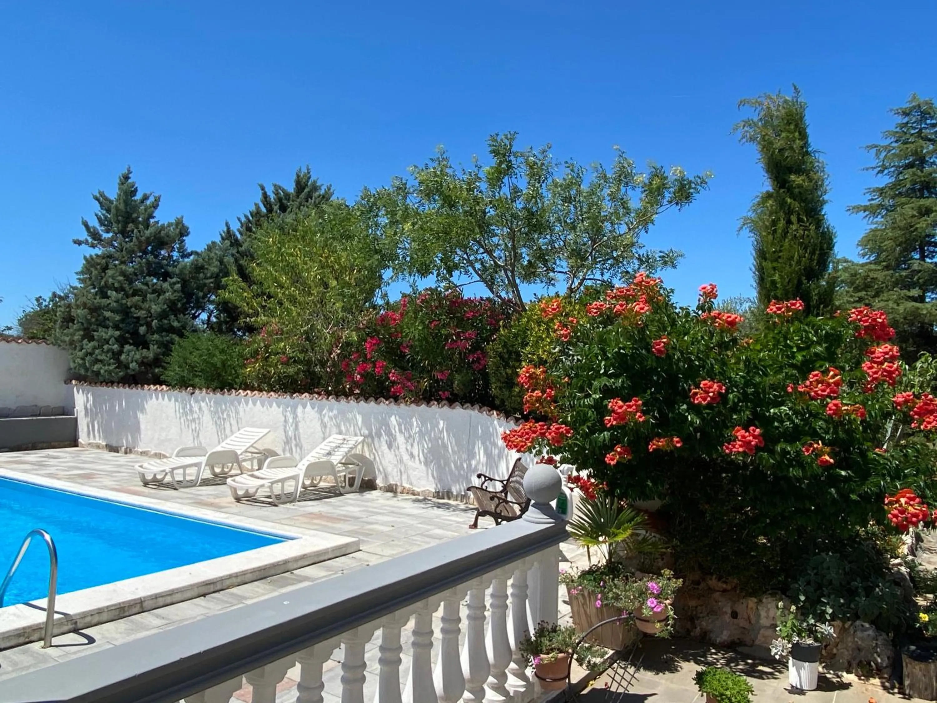 Swimming pool in Hotel Aurora