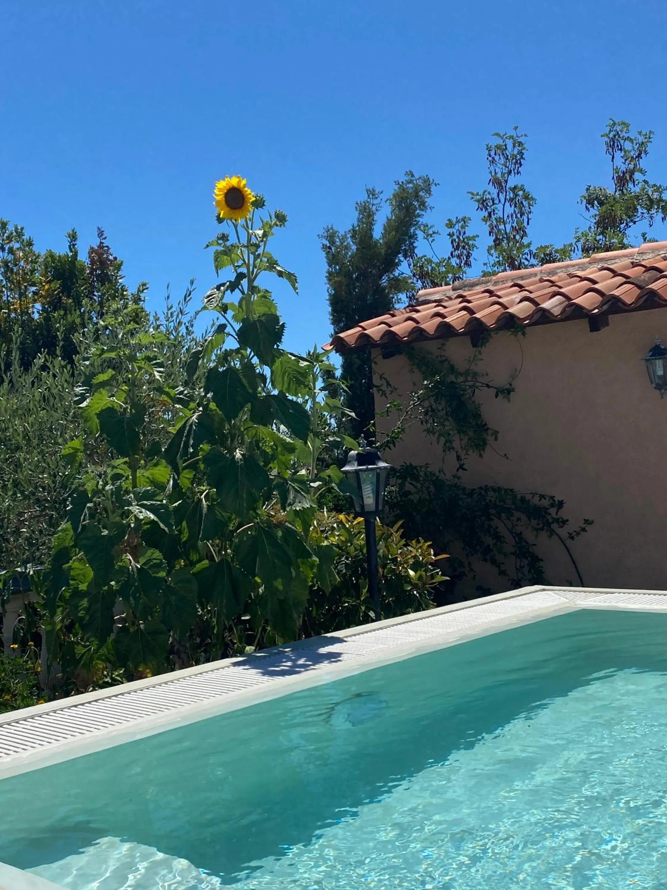 Swimming pool in Hotel Aurora
