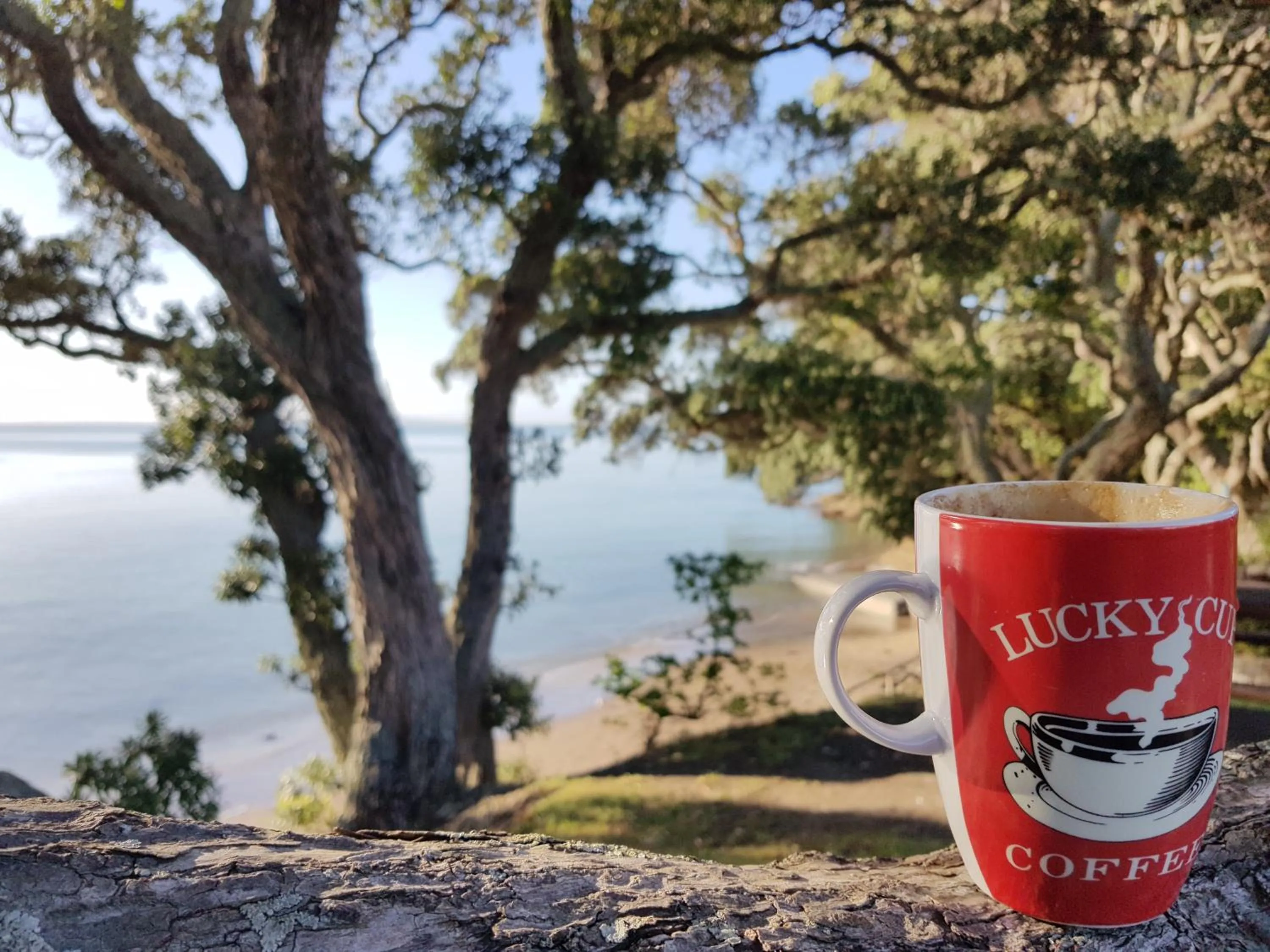 Day in Whangaparaoa Lodge