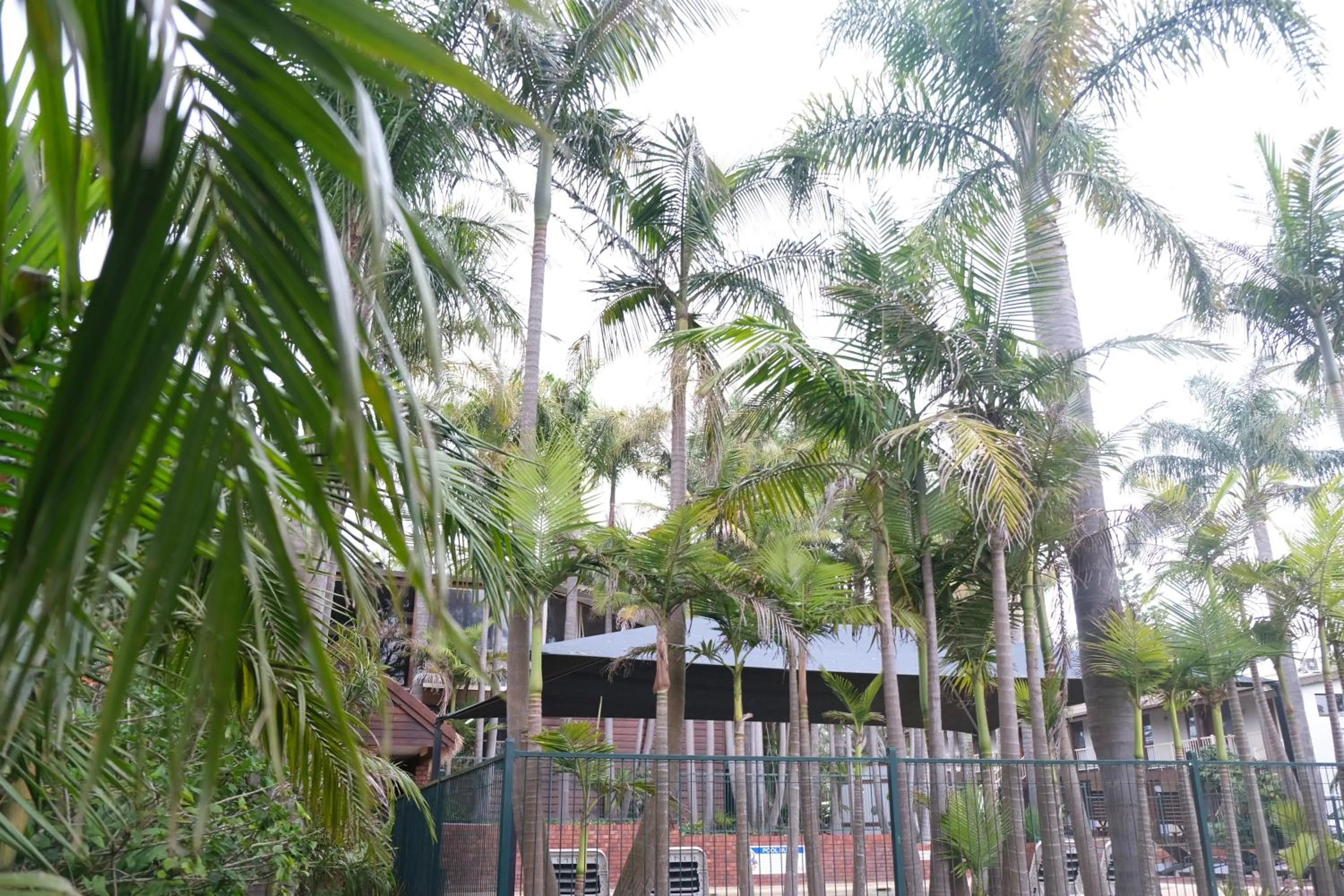 Garden in Kaloha Holiday Resort Phillip Island