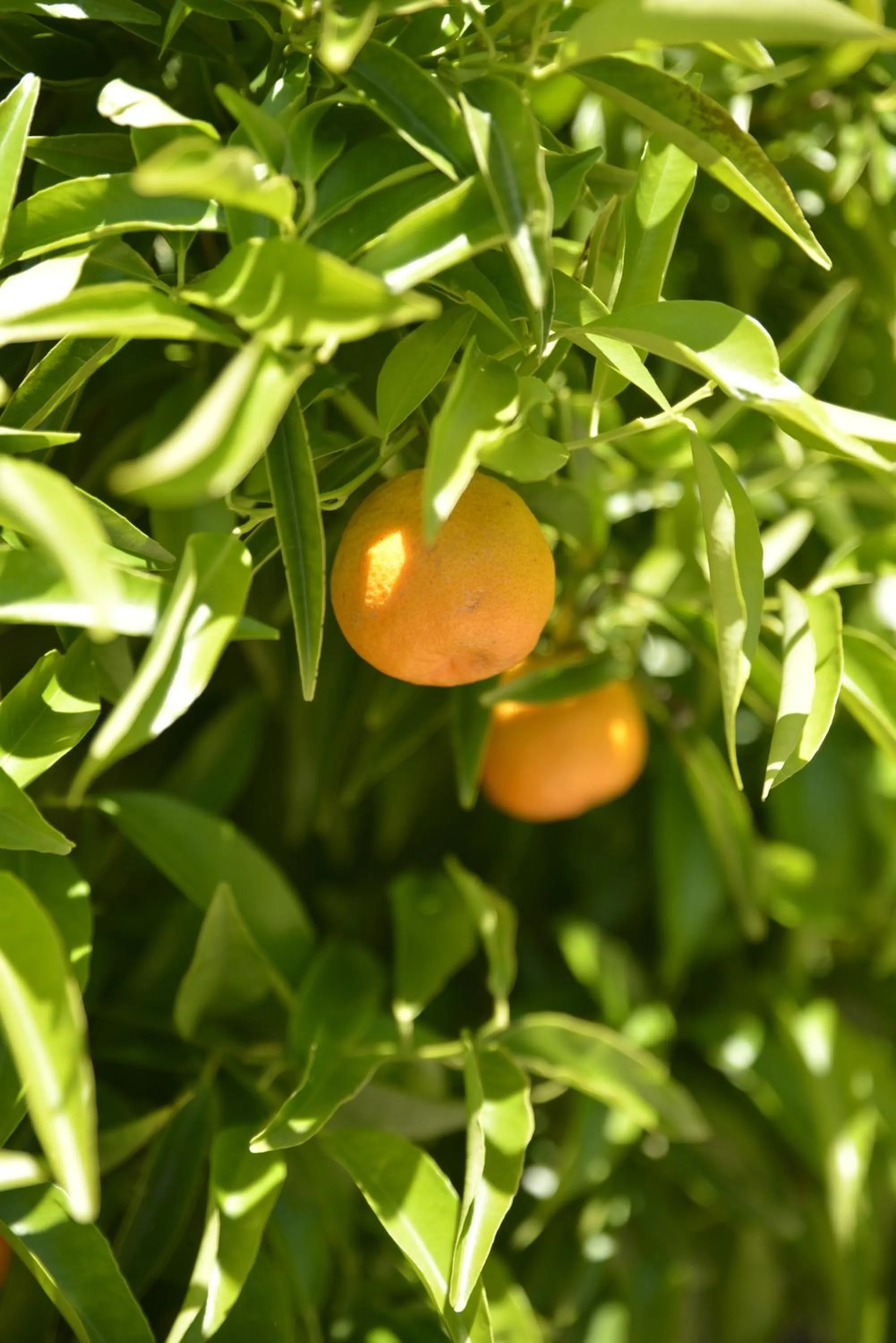 Anchor Down Bed & Breakfast