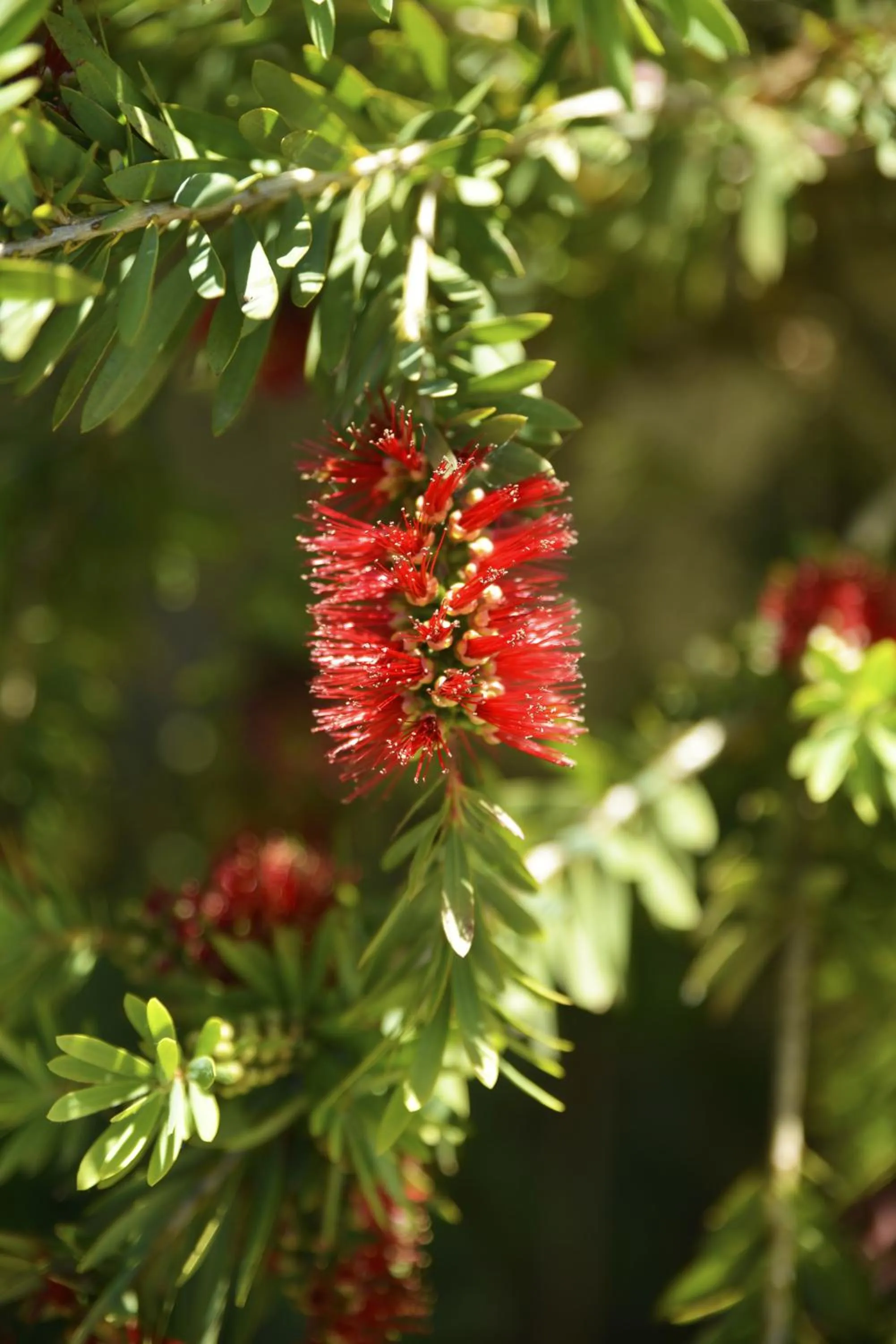 Anchor Down Bed & Breakfast