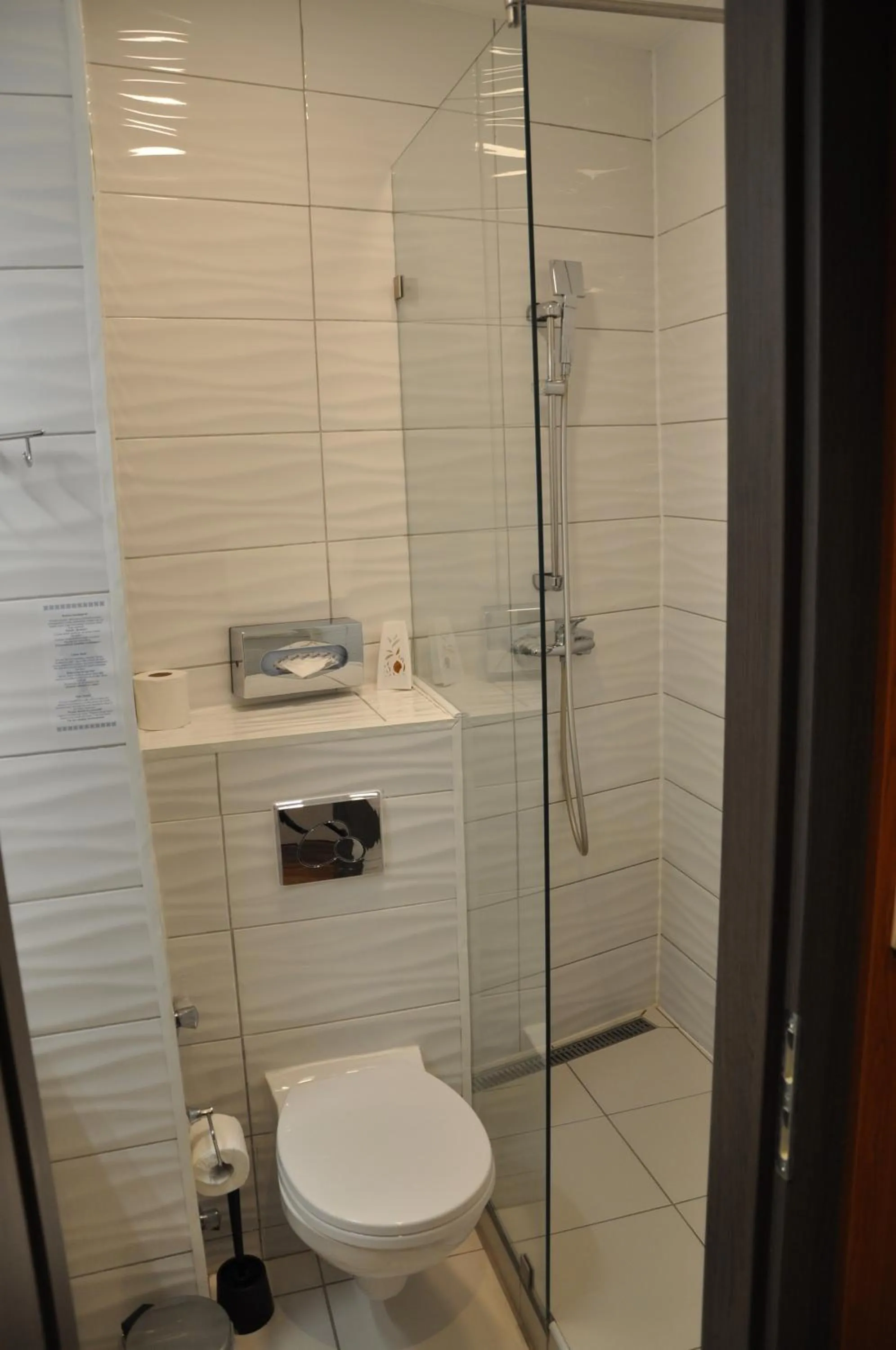 Shower in Hotel Orion