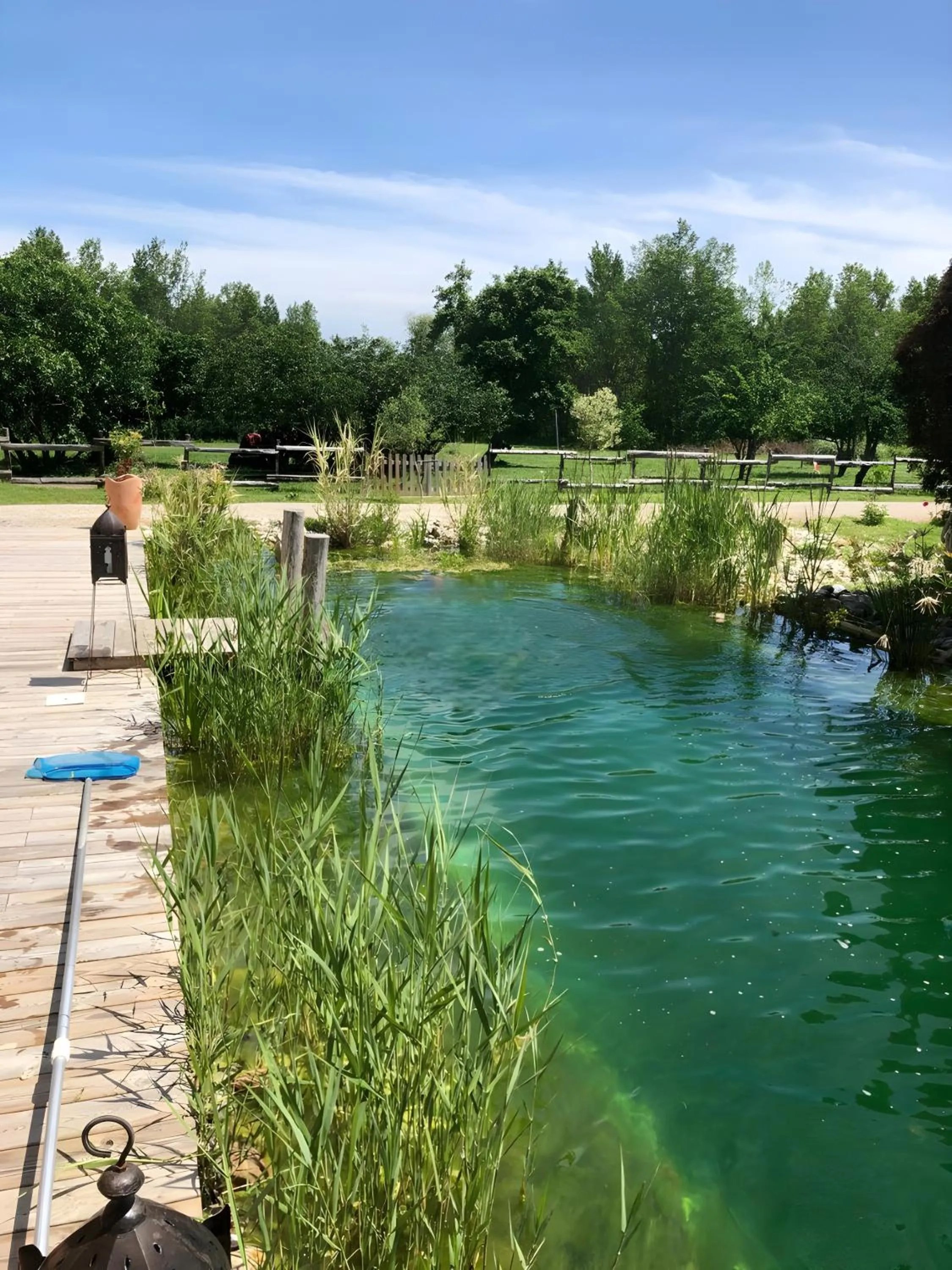 Natural landscape in Château Fourclins Domaine privatif 15 personnes Parc & Bassin naturel Proche Toulouse