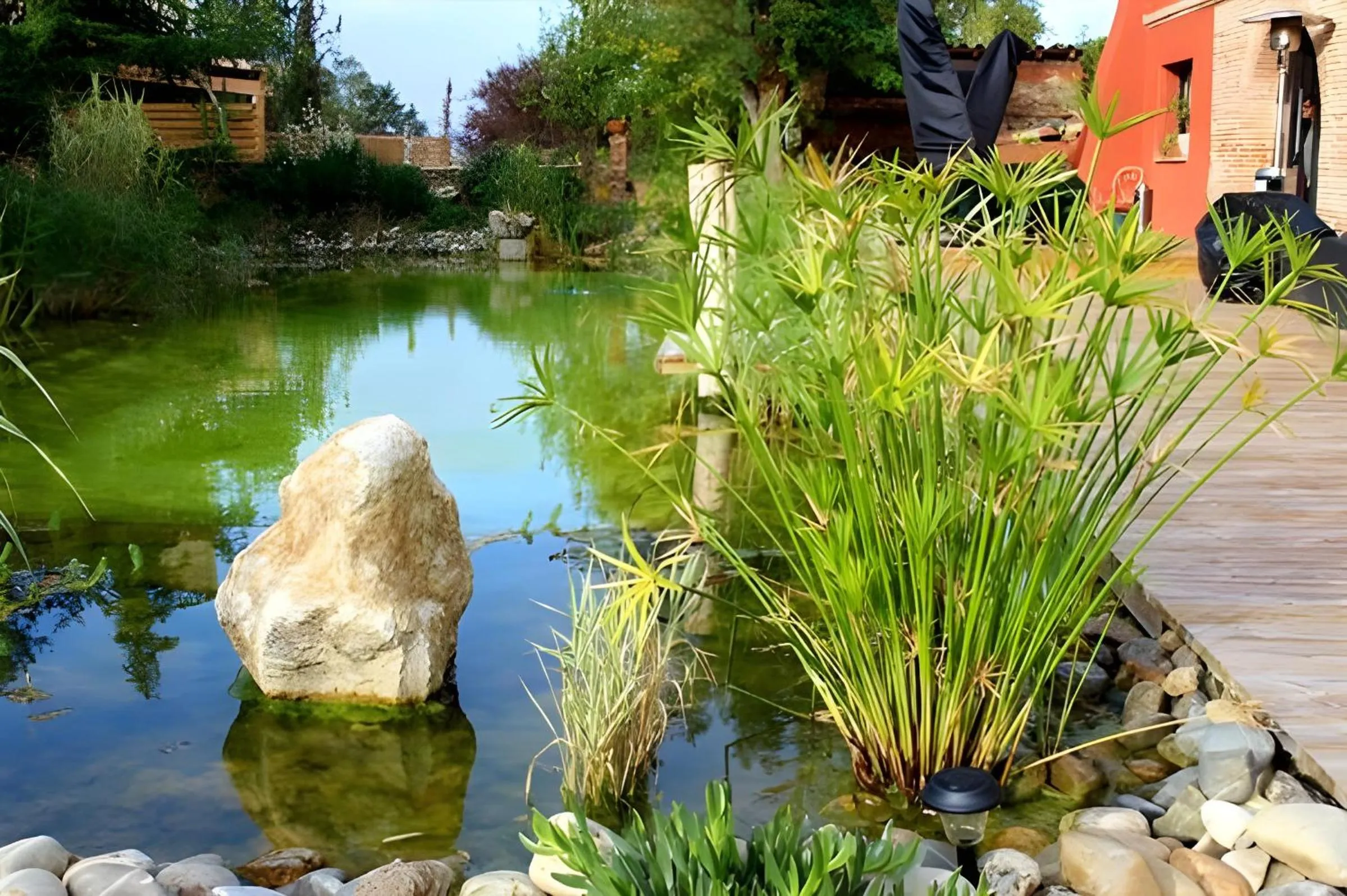 Day in Château Fourclins Domaine privatif 15 personnes Parc & Bassin naturel Proche Toulouse