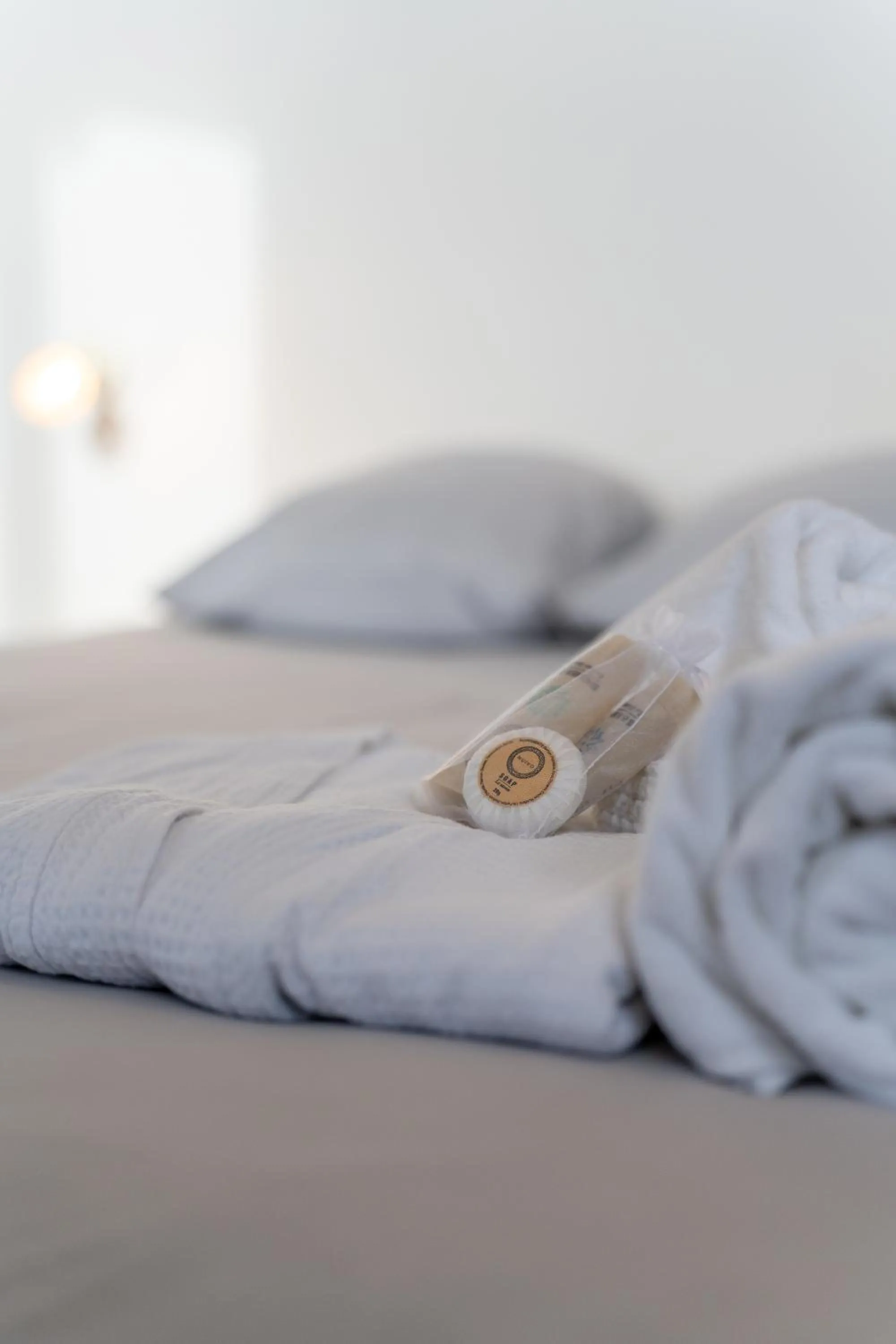 Bed in Château Fourclins Domaine privatif 15 personnes Parc & Bassin naturel Proche Toulouse