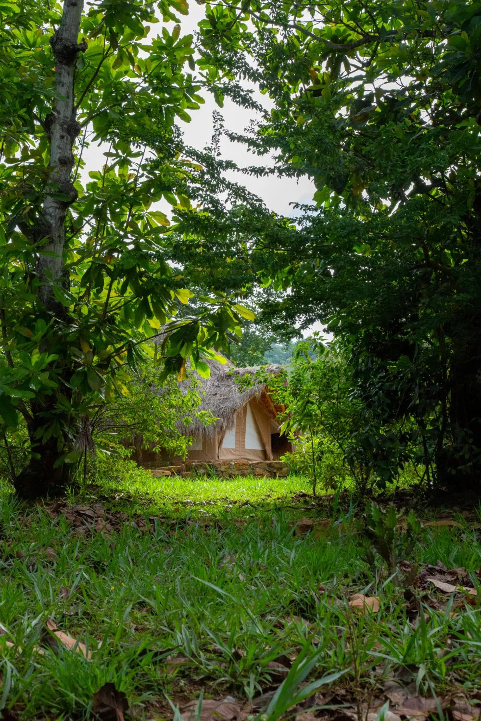 View (from property/room) in Nativo Eco-Hotel Barichara