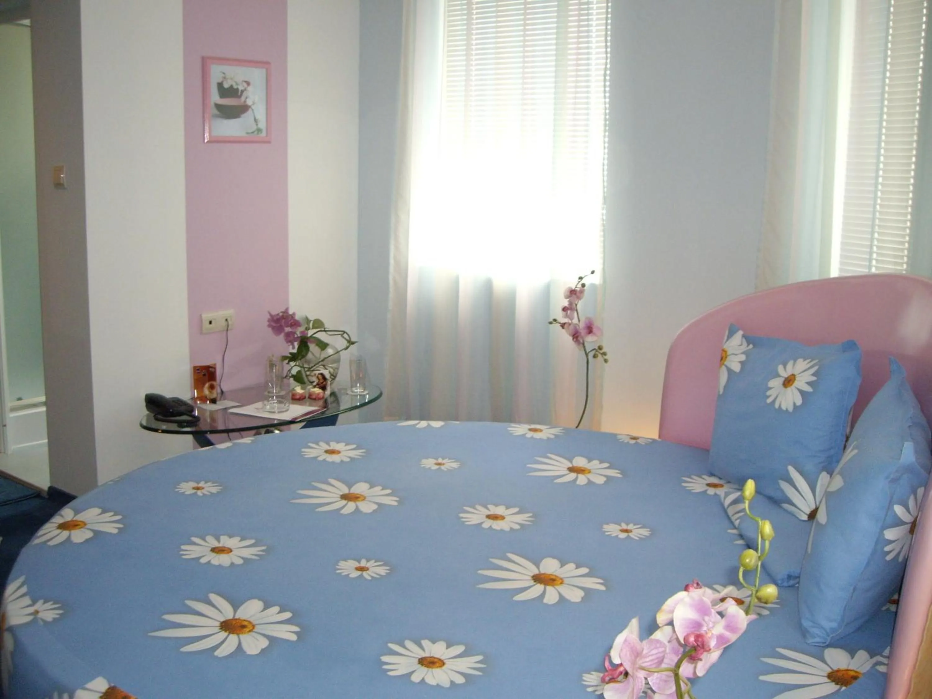 Photo of the whole room in Family Hotel Mania