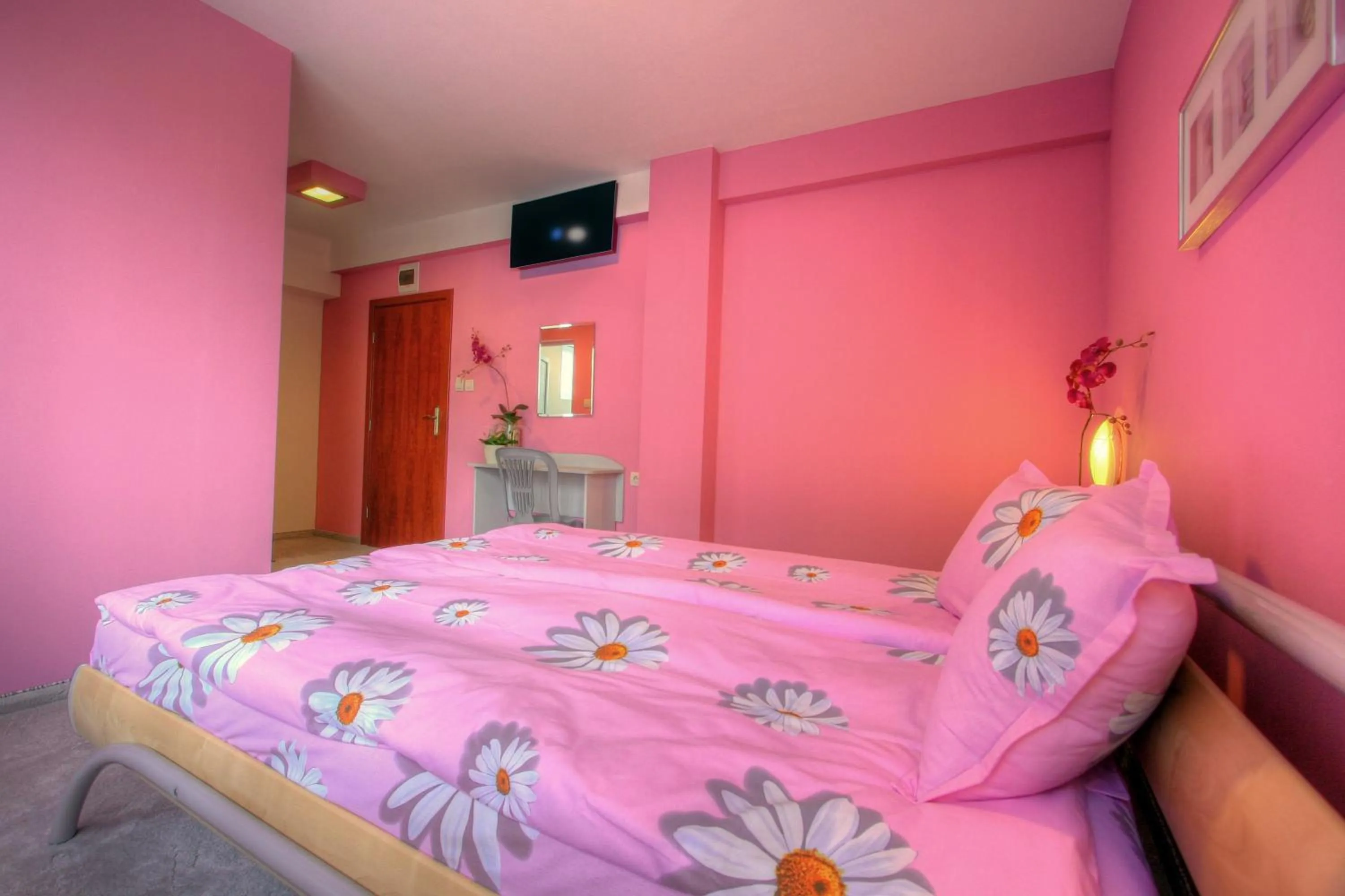 Photo of the whole room in Family Hotel Mania