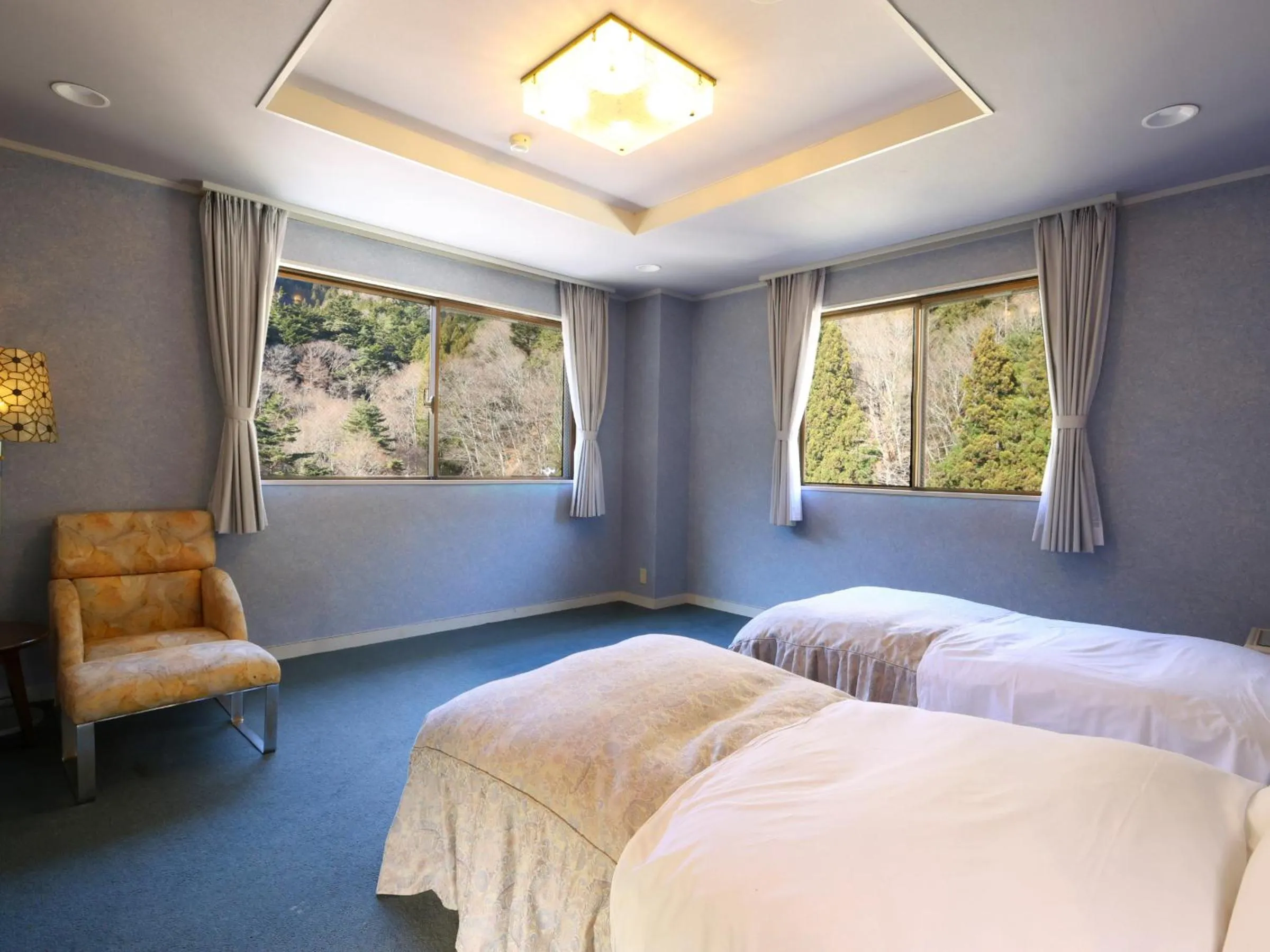 Photo of the whole room, Bed in Shoji Mount Hotel