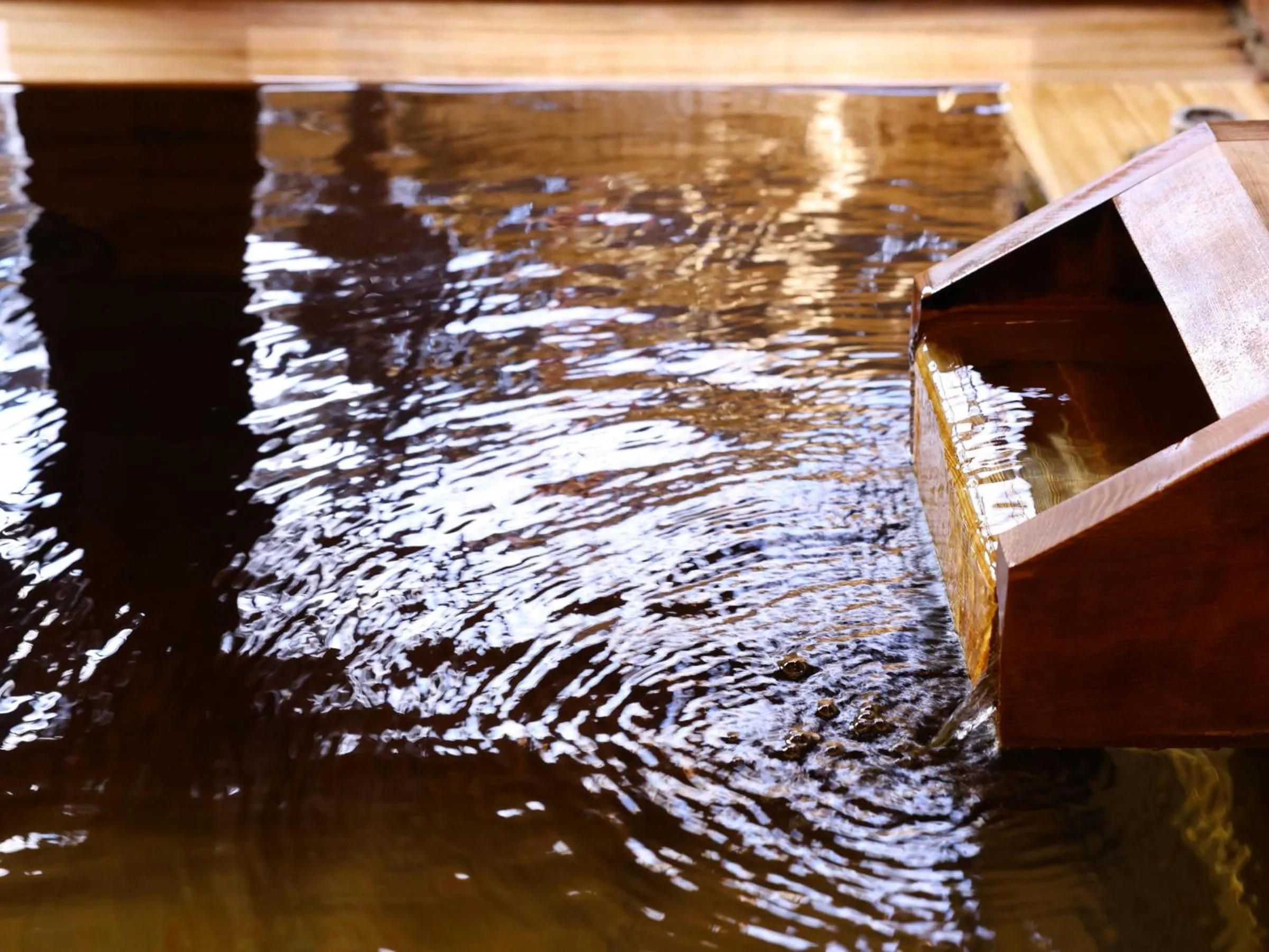 Public Bath in Shoji Mount Hotel