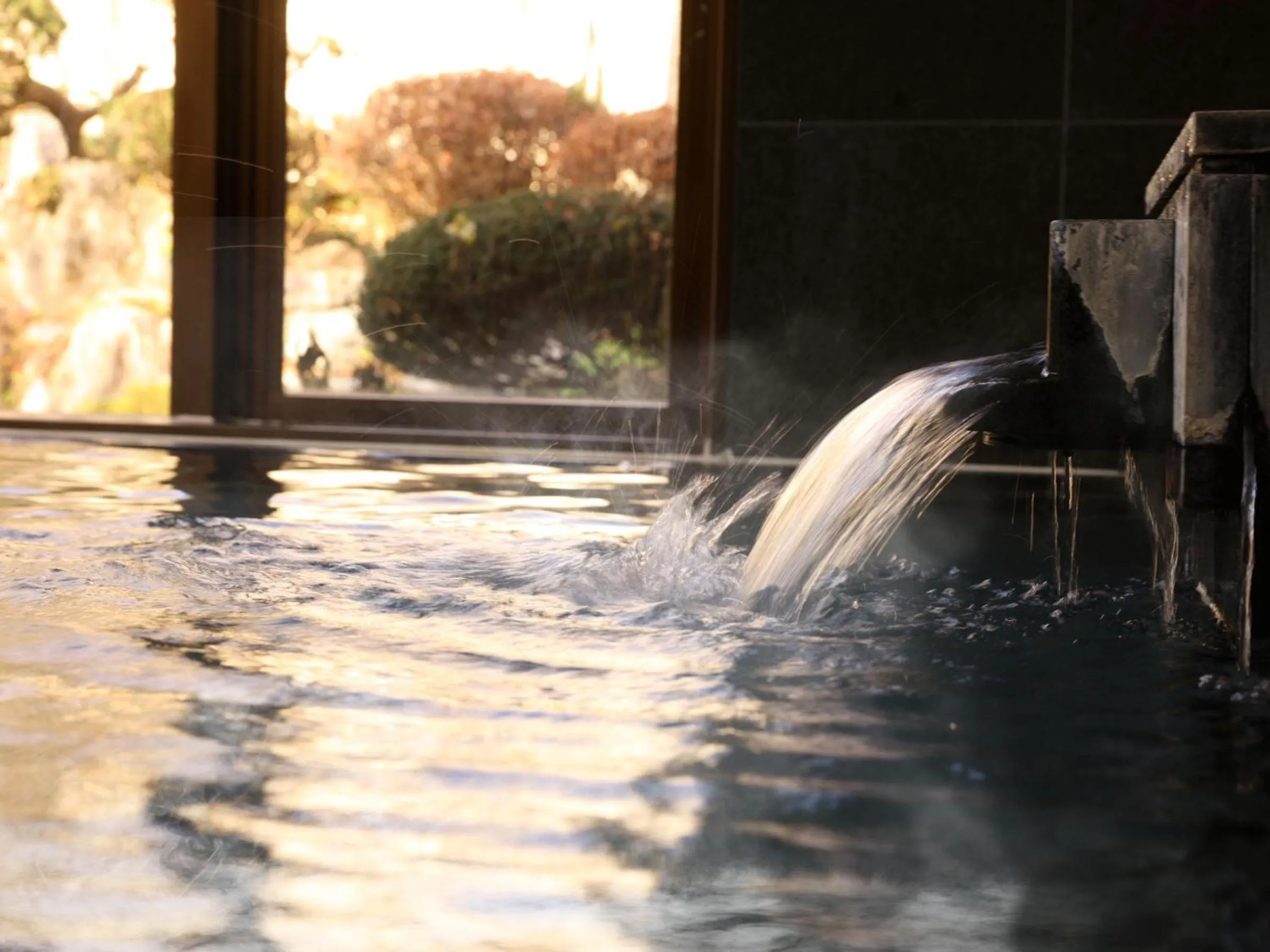 Public Bath in Shoji Mount Hotel