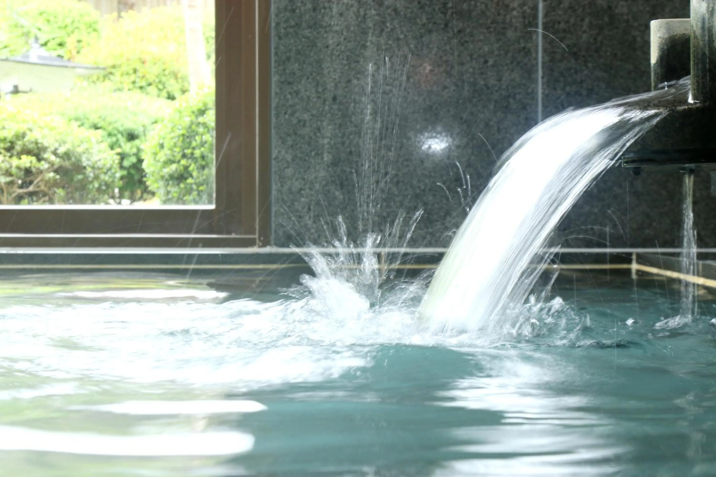 Public Bath in Shoji Mount Hotel