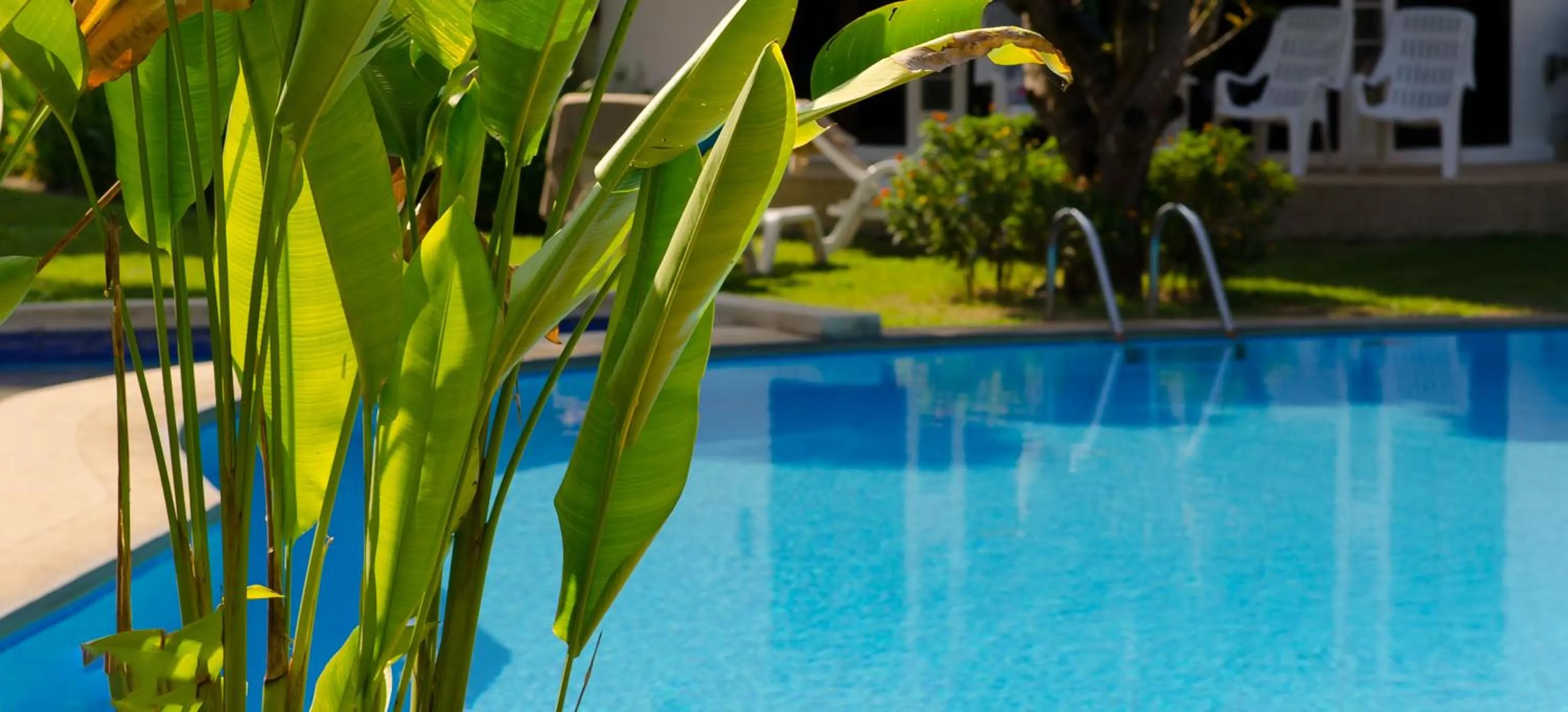 Garden view in Mango Spa & Resort