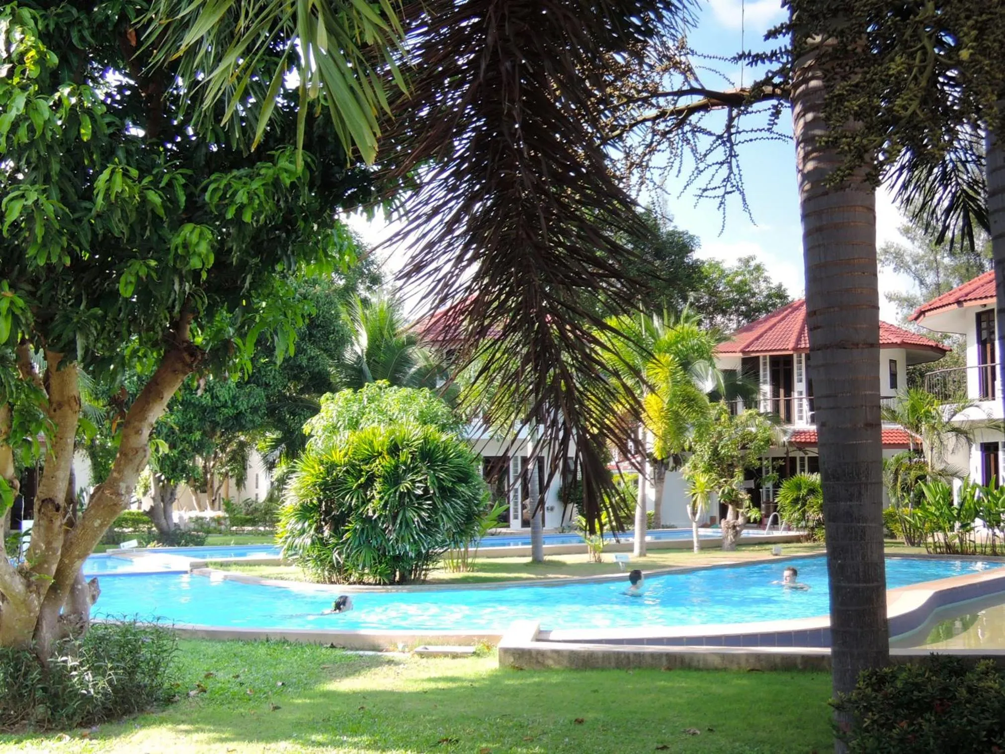 Swimming pool in Mango Spa & Resort