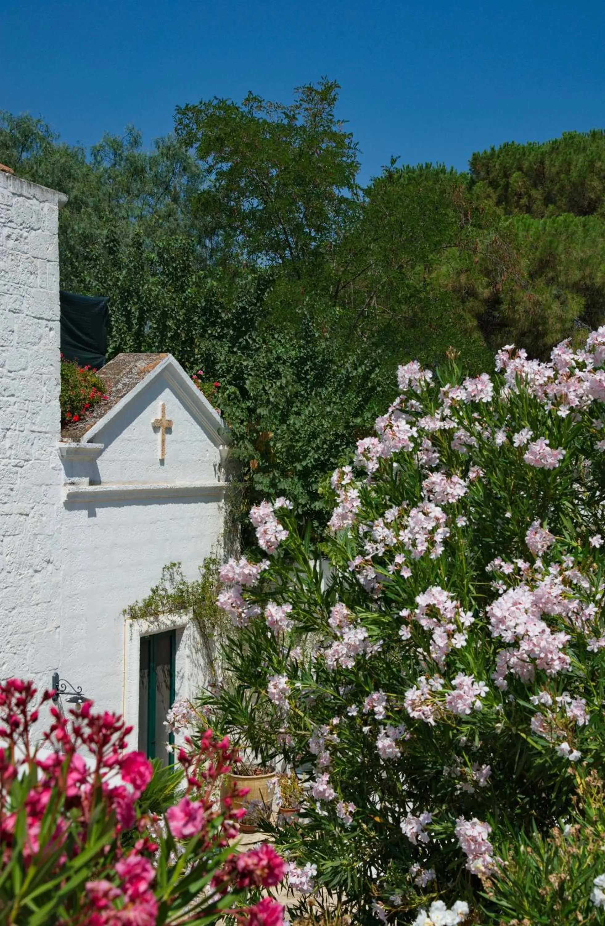 Property building in Masseria Il Frantoio